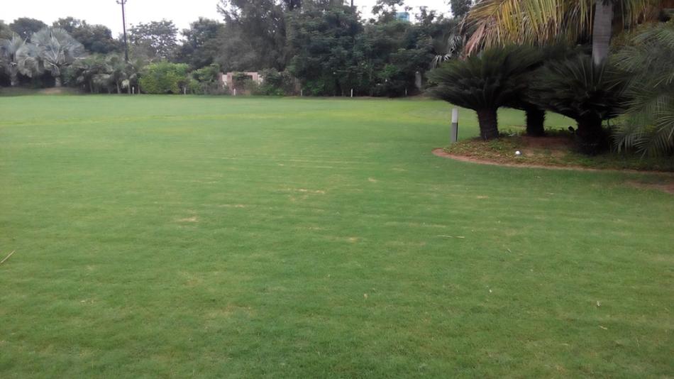 Baghban Party Plot Thaltej, Ahmedabad | Wedding Lawn | WeddingZ.in