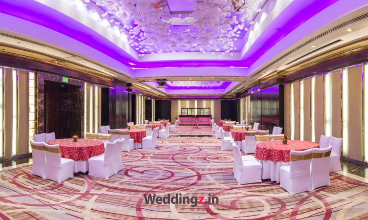 Radisson Blu Plaza, Mahipalpur Radisson Blu Plaza