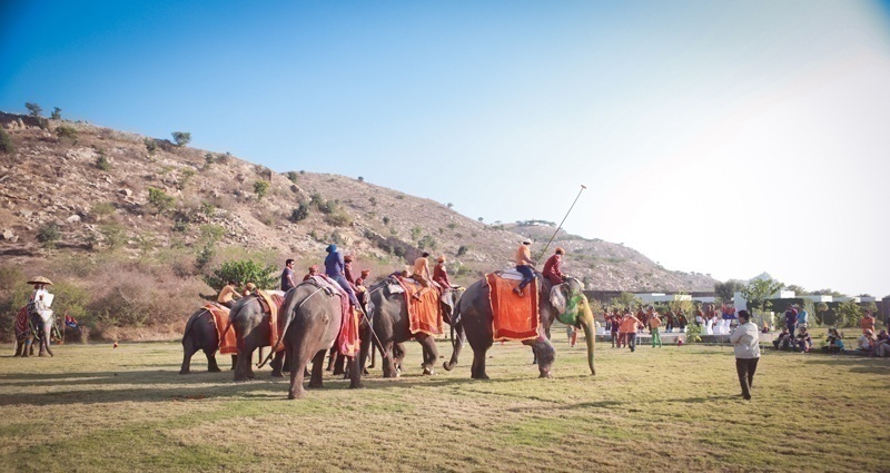 Elephant Polo