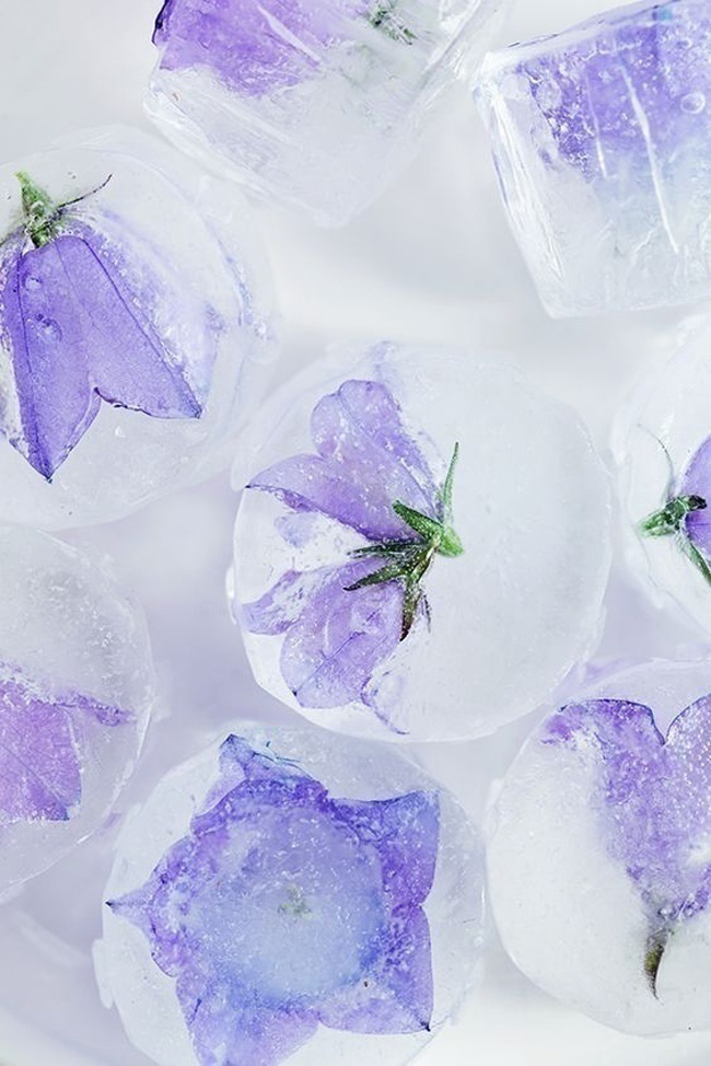 Edible Flower Ice Cubes