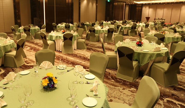 Pride Plaza Hotel, Aerocity Pride Plaza Hotel