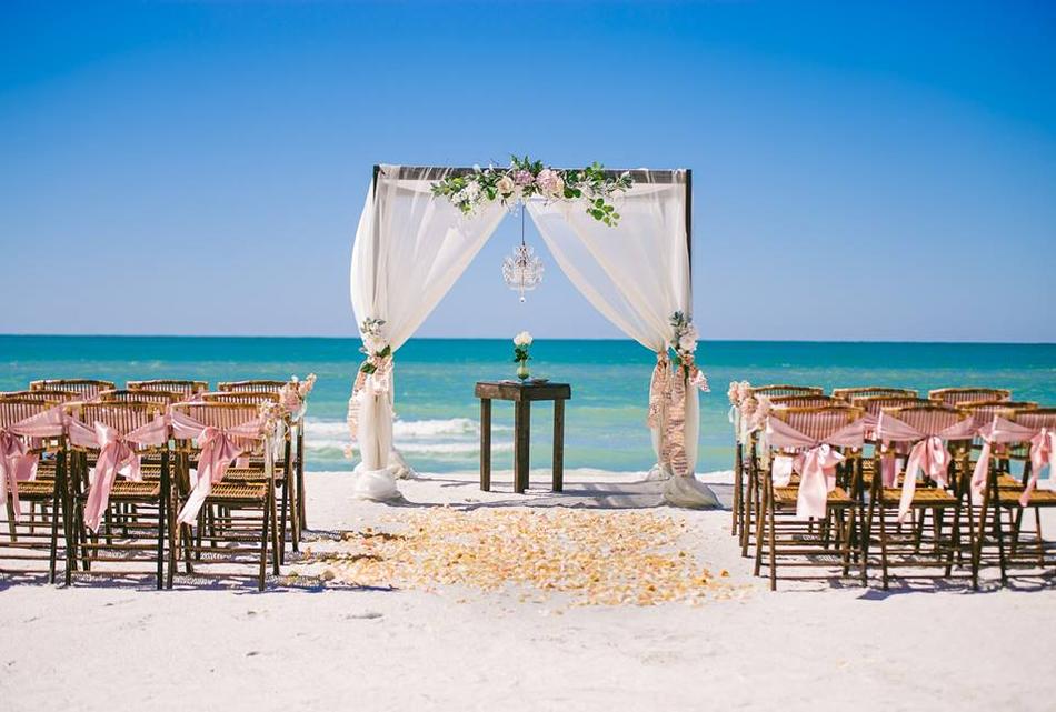 Epic Wedding Carpet, Wedding Planner in Marathahalli, Bangalore WeddingZ