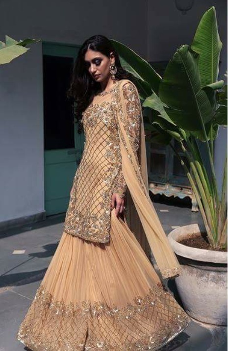 Unstitched Net Wedding Lehenga at Rs 50000 in Meerut | ID: 13733624297