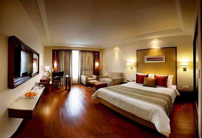 Park Inn, Gurgaon Park Inn