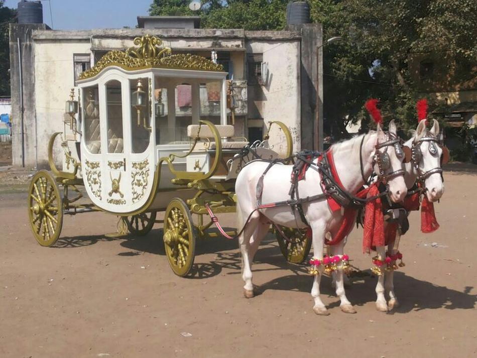 Royal Prestige A.C Baggi, Band Baaja in Pune WeddingZ