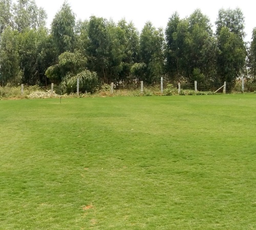 Prajwal Lawn, Devanahalli Prajwal Lawn