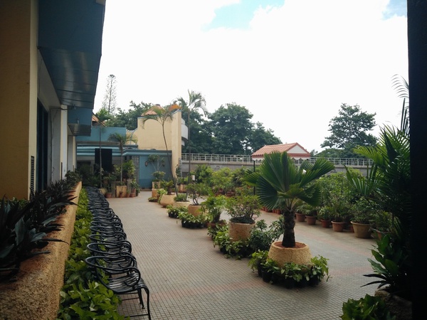 Canopy Terrace Garden, M G Road Canopy Terrace Garden