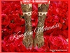 Kundan Mehandi Art  Bridal Mehndi Artist Delhi WeddingZ