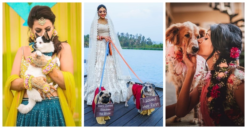 10 Brides who Stole our Hearts by Including their Doggos in their Wedding!