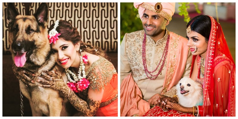 #CutenessAlert 7 Brides with Furry Babies