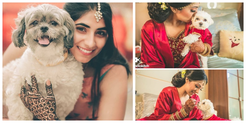 These pictures prove that your wedding pictures are better with your Furry BFFs in them!