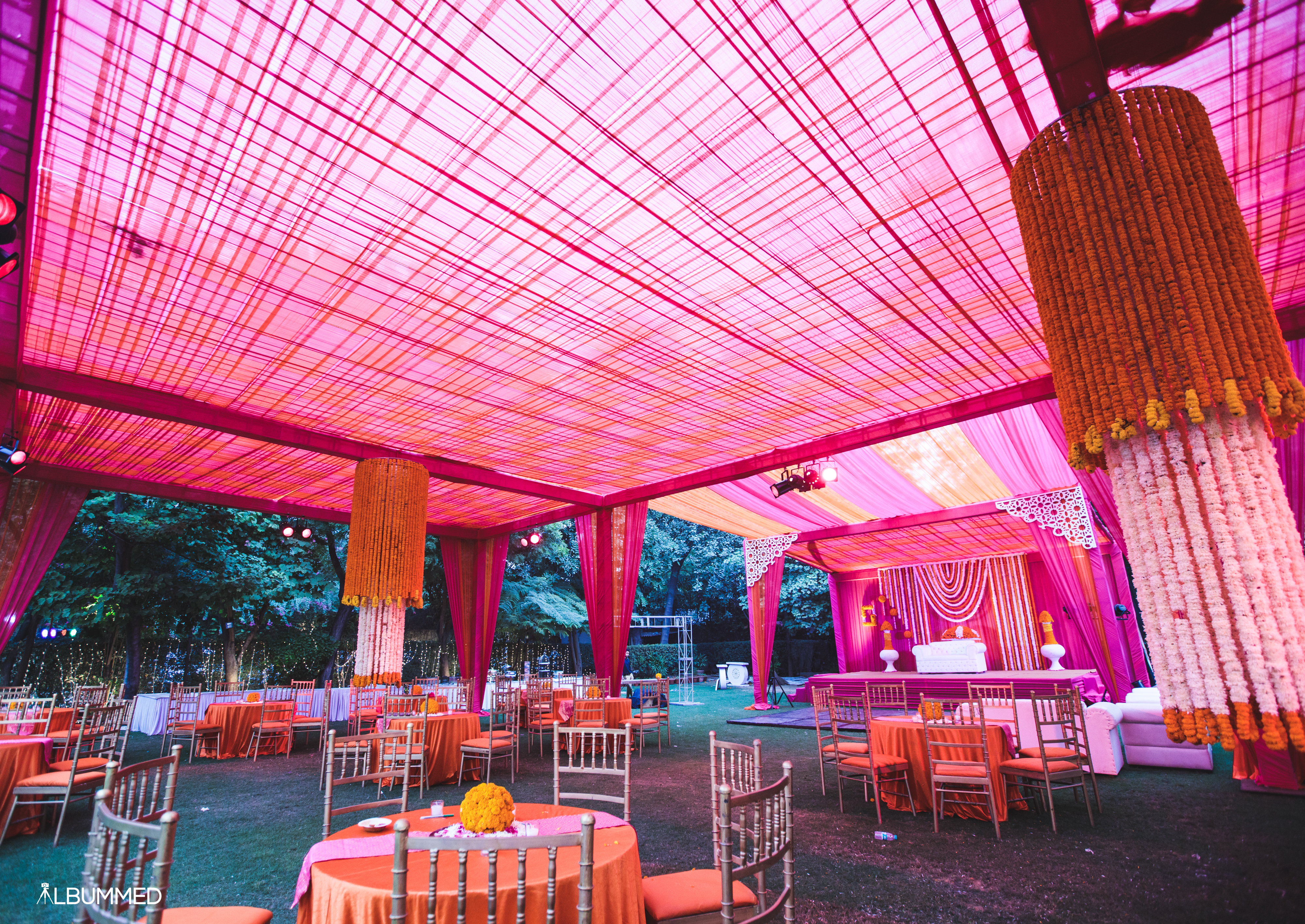 Albummed |  |  | Nikita & Rishi | Photographer