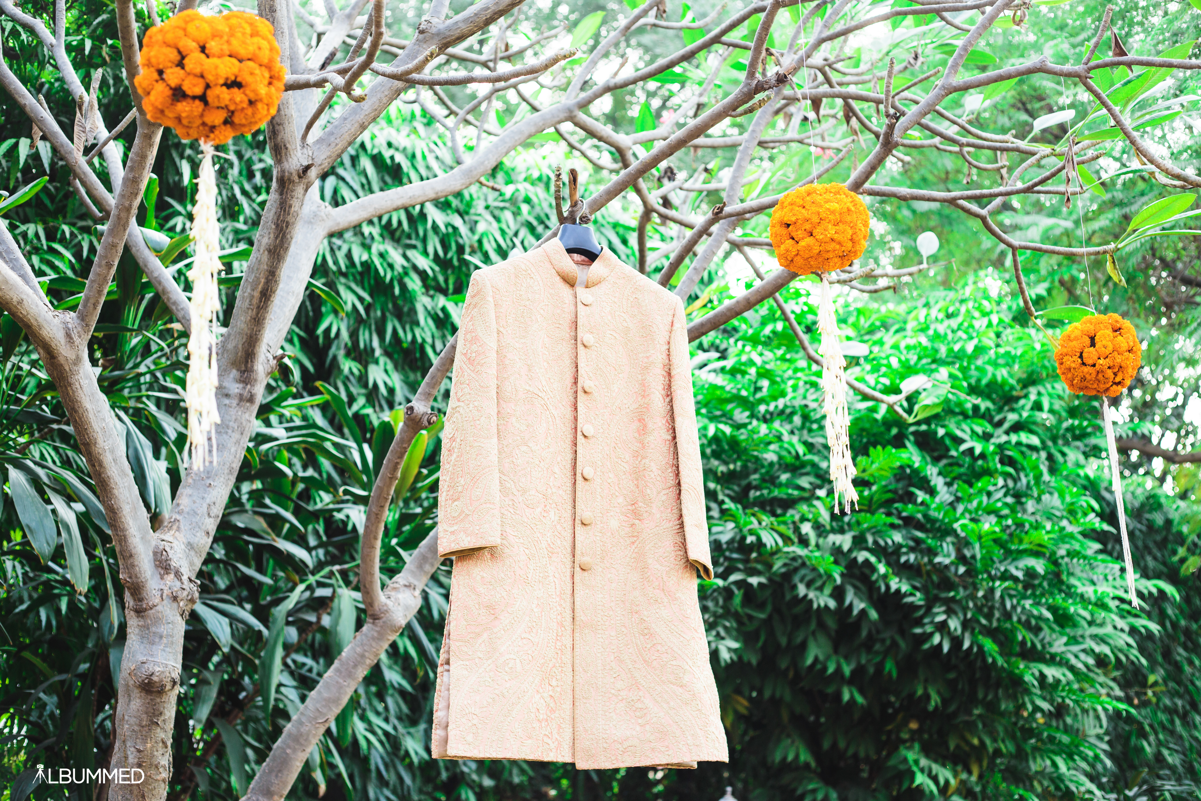 Albummed |  |  | Nikita & Rishi | Photographer