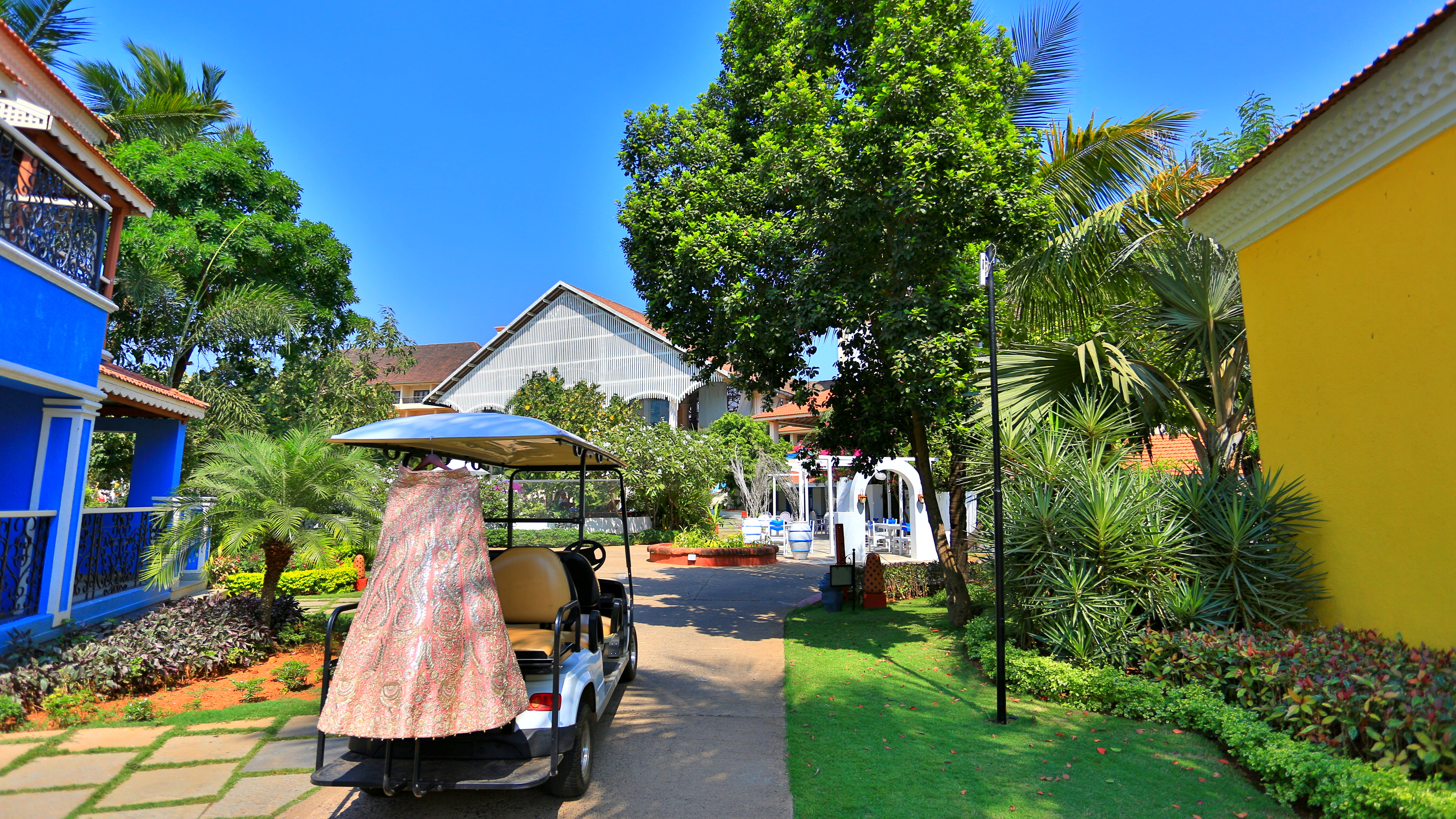 Cam Catches |  |  | Candid Photography | Photographer