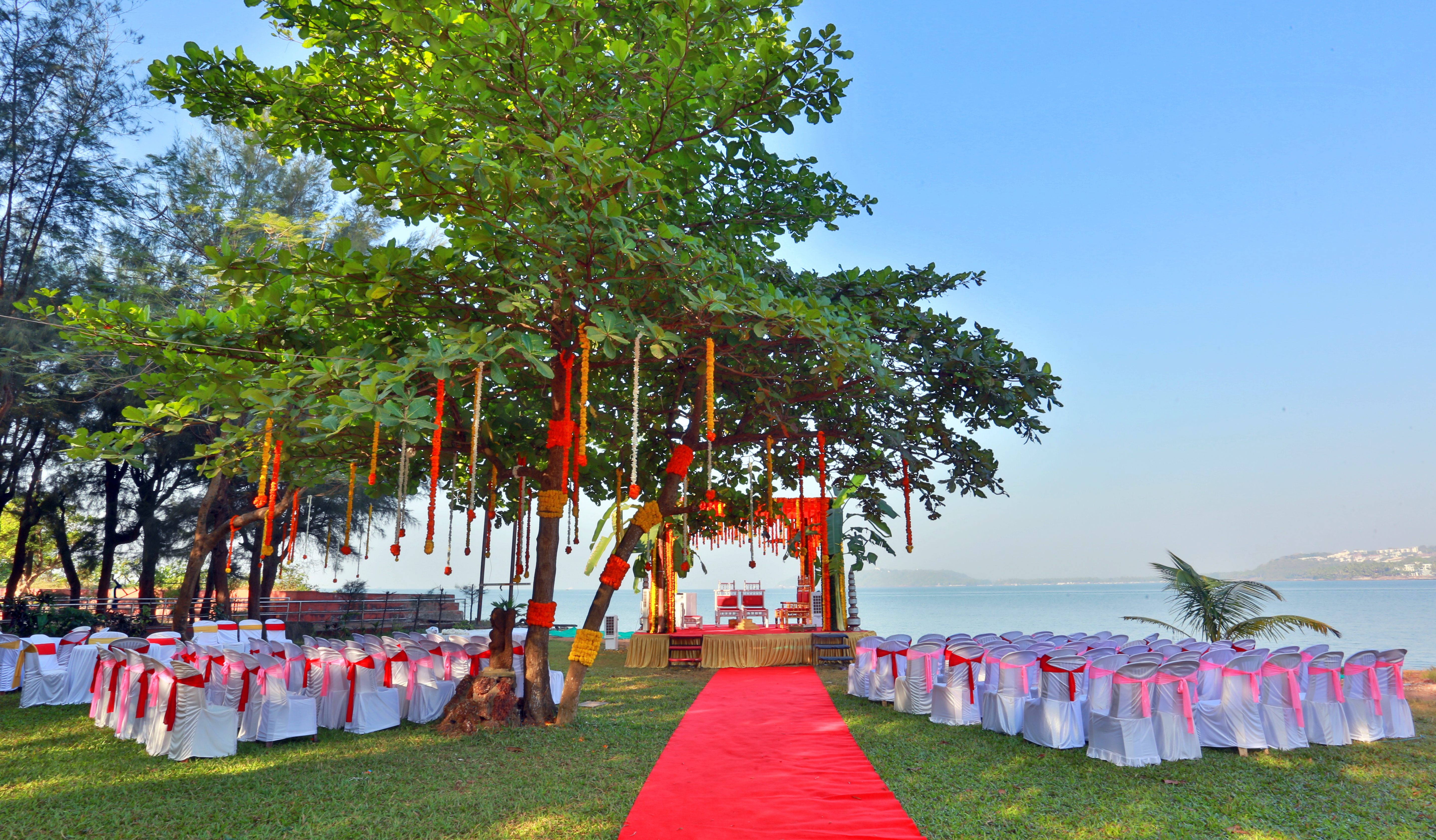 Cam Catches |  |  | Candid Photography | Photographer