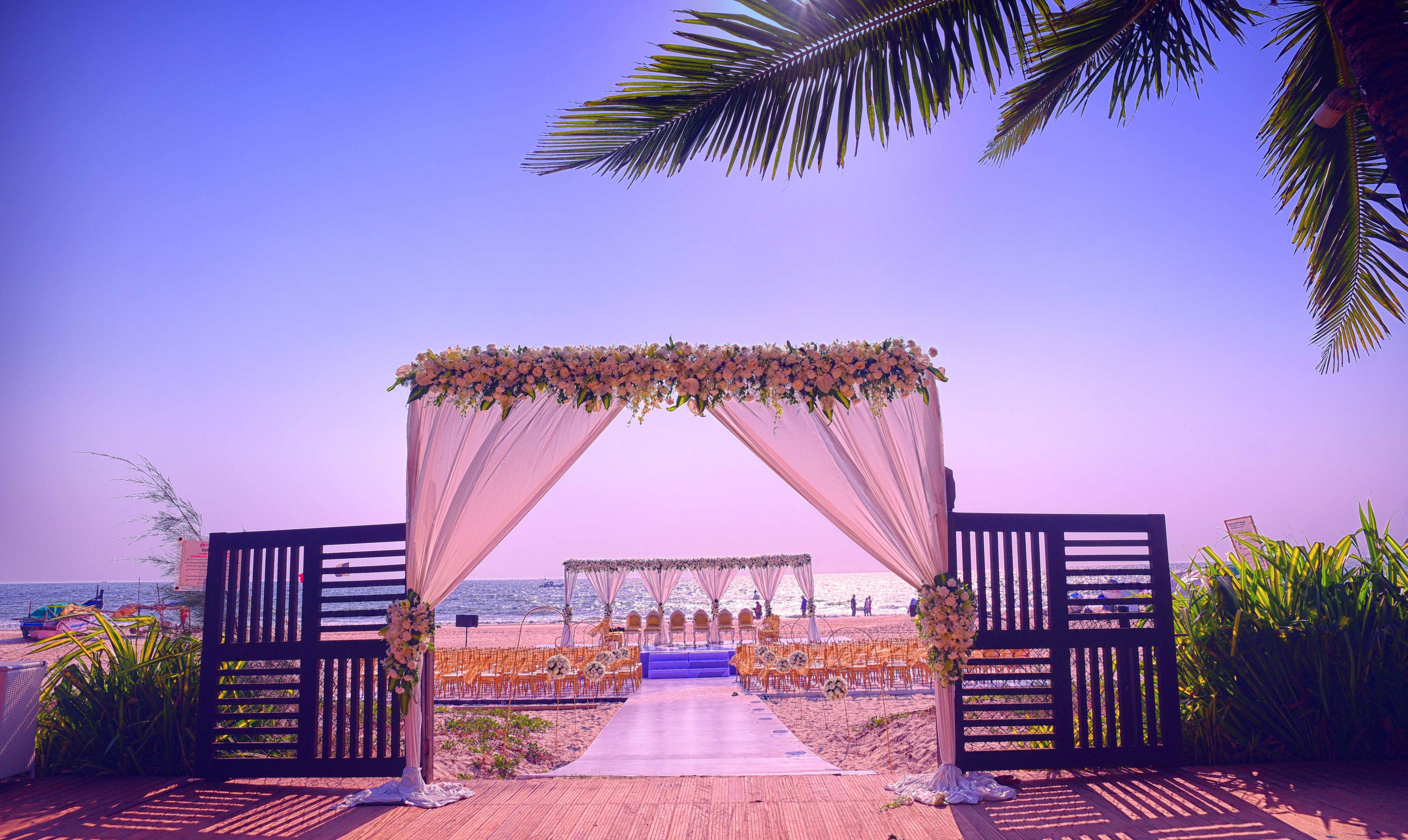 Cam Catches |  |  | Candid Photography | Photographer