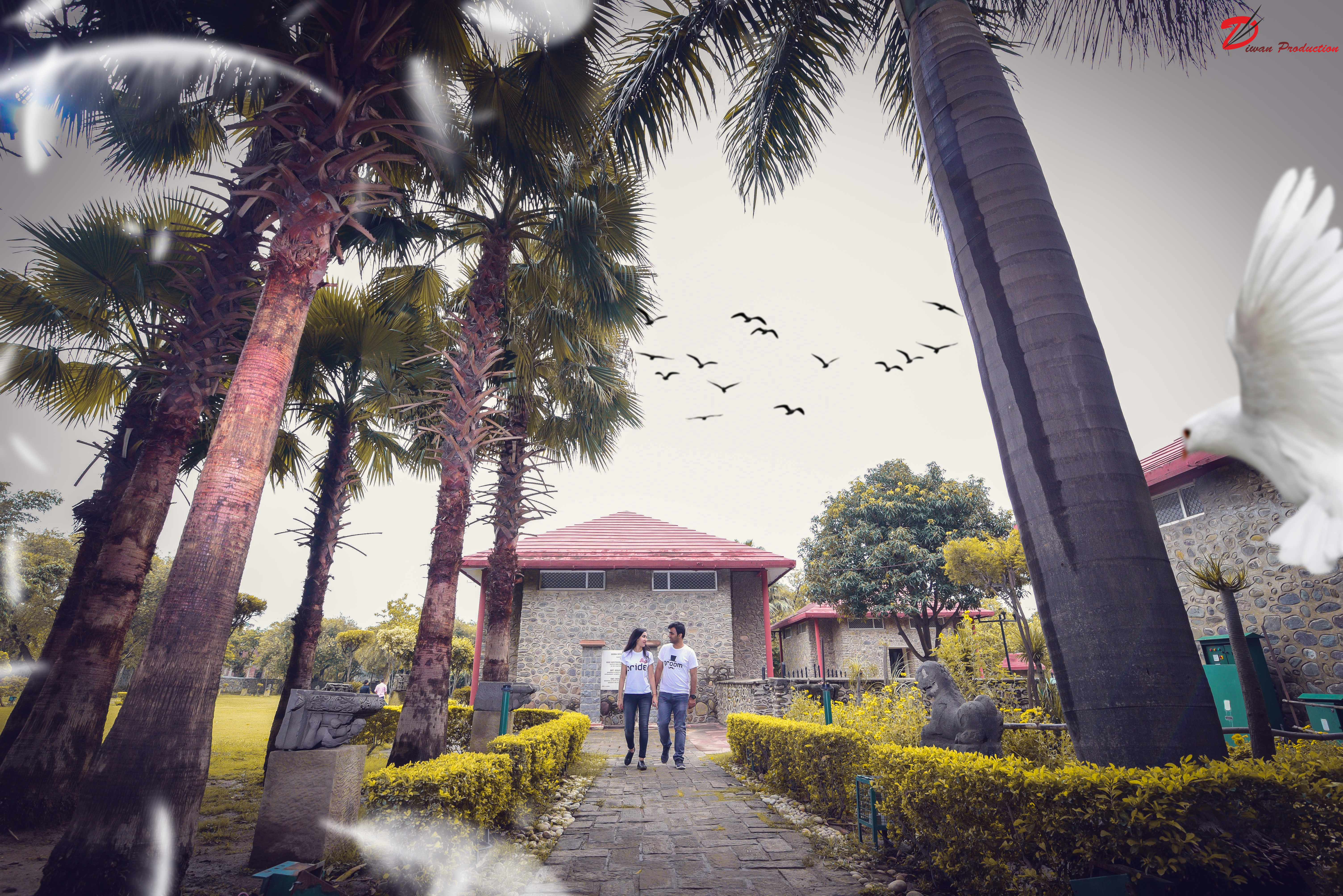 Diwan Production |  | Pre wedding  | Photographer