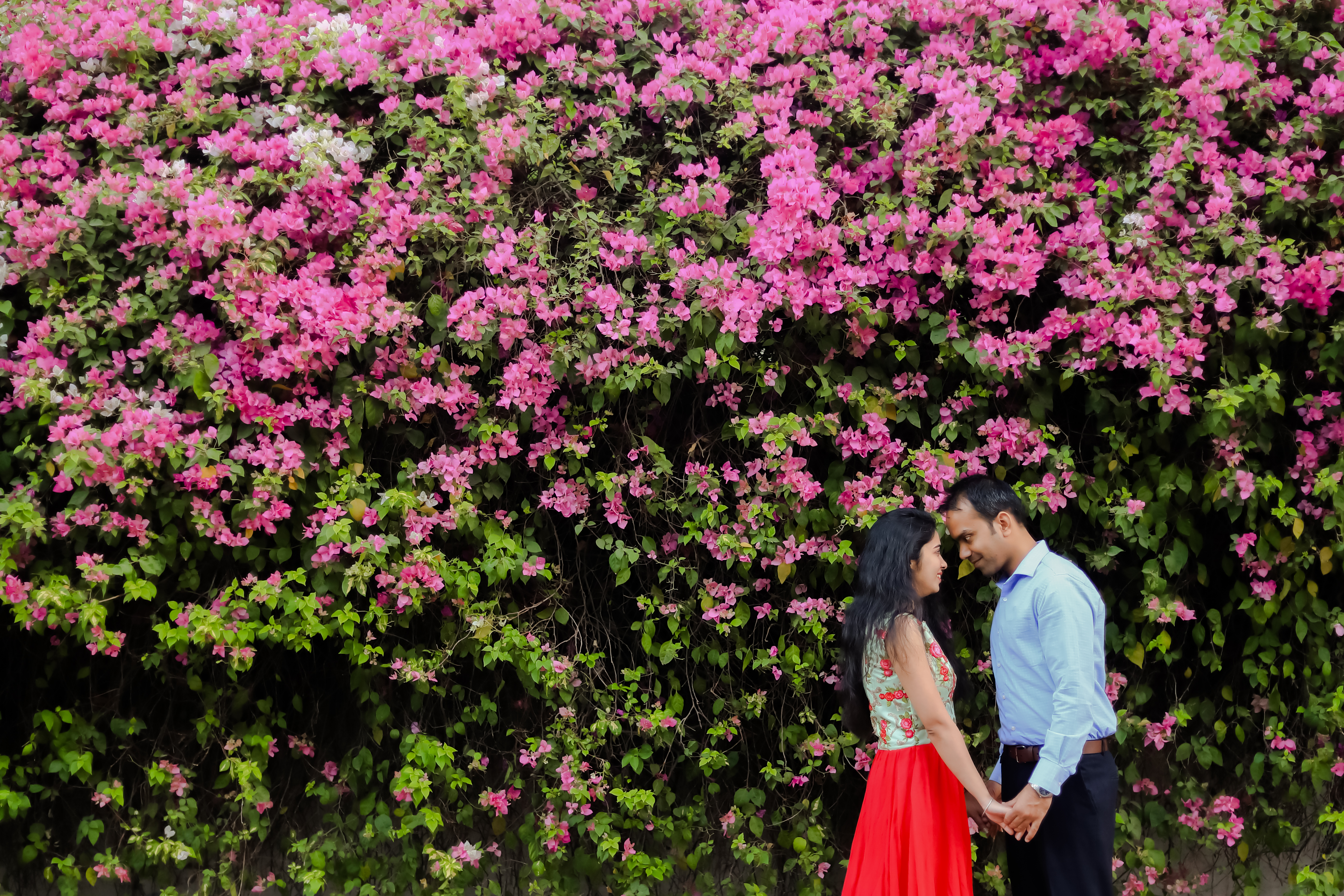 Drama By Shikhar & Purva |  | Pre Wedding | Photographer