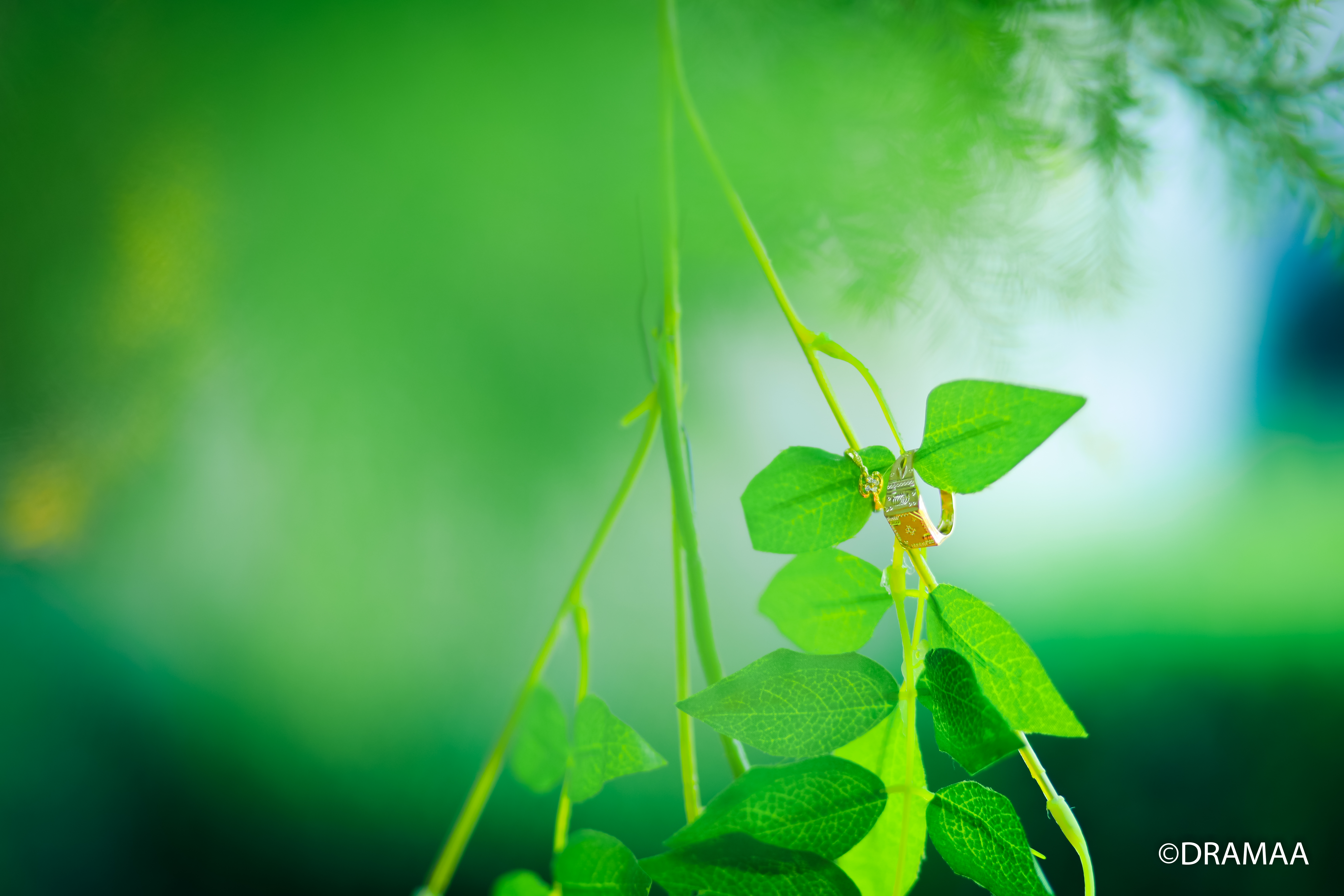 Drama By Shikhar & Purva |  | Wedding | Photographer