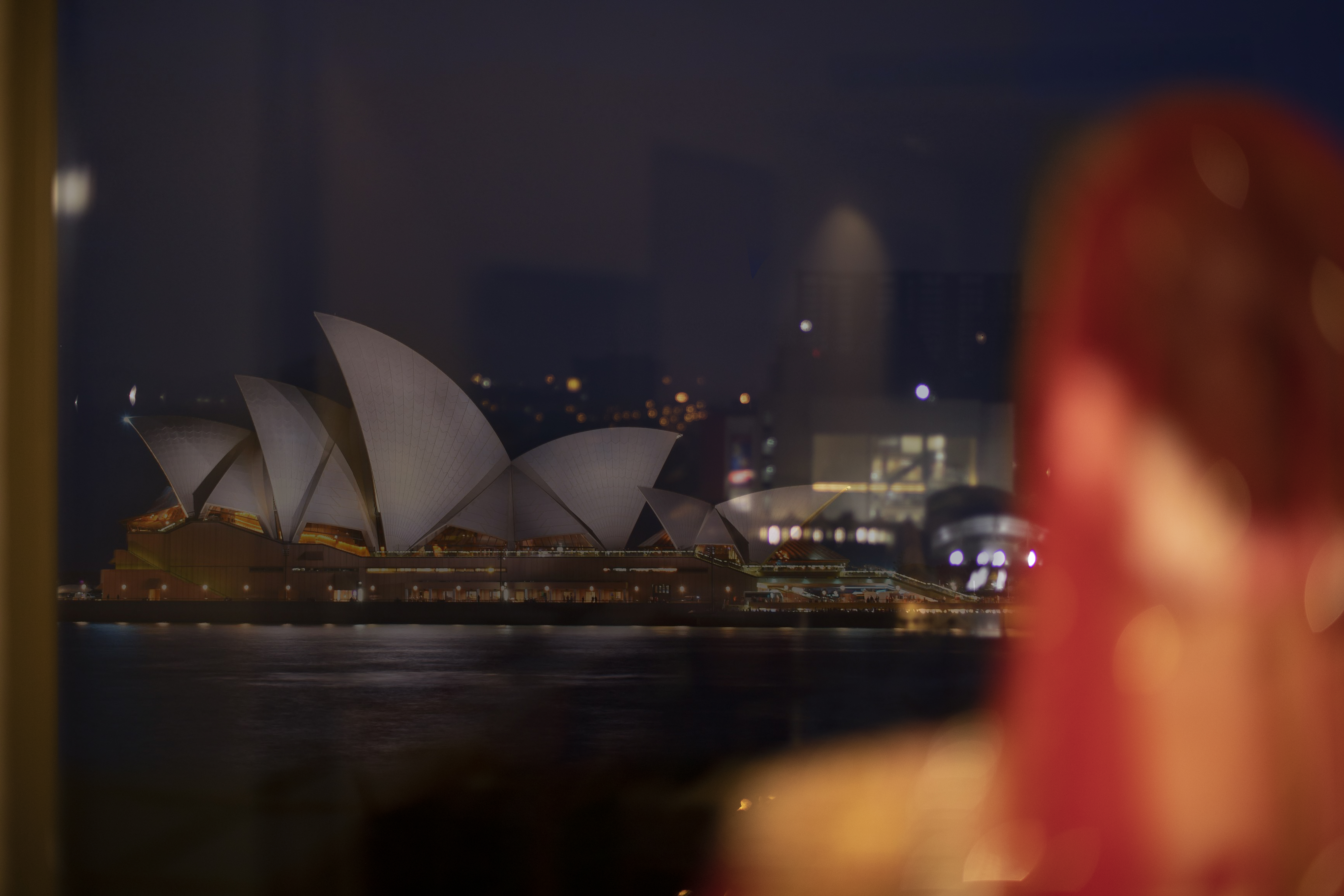 eye of Turtle | | | Portfolio | Photographer