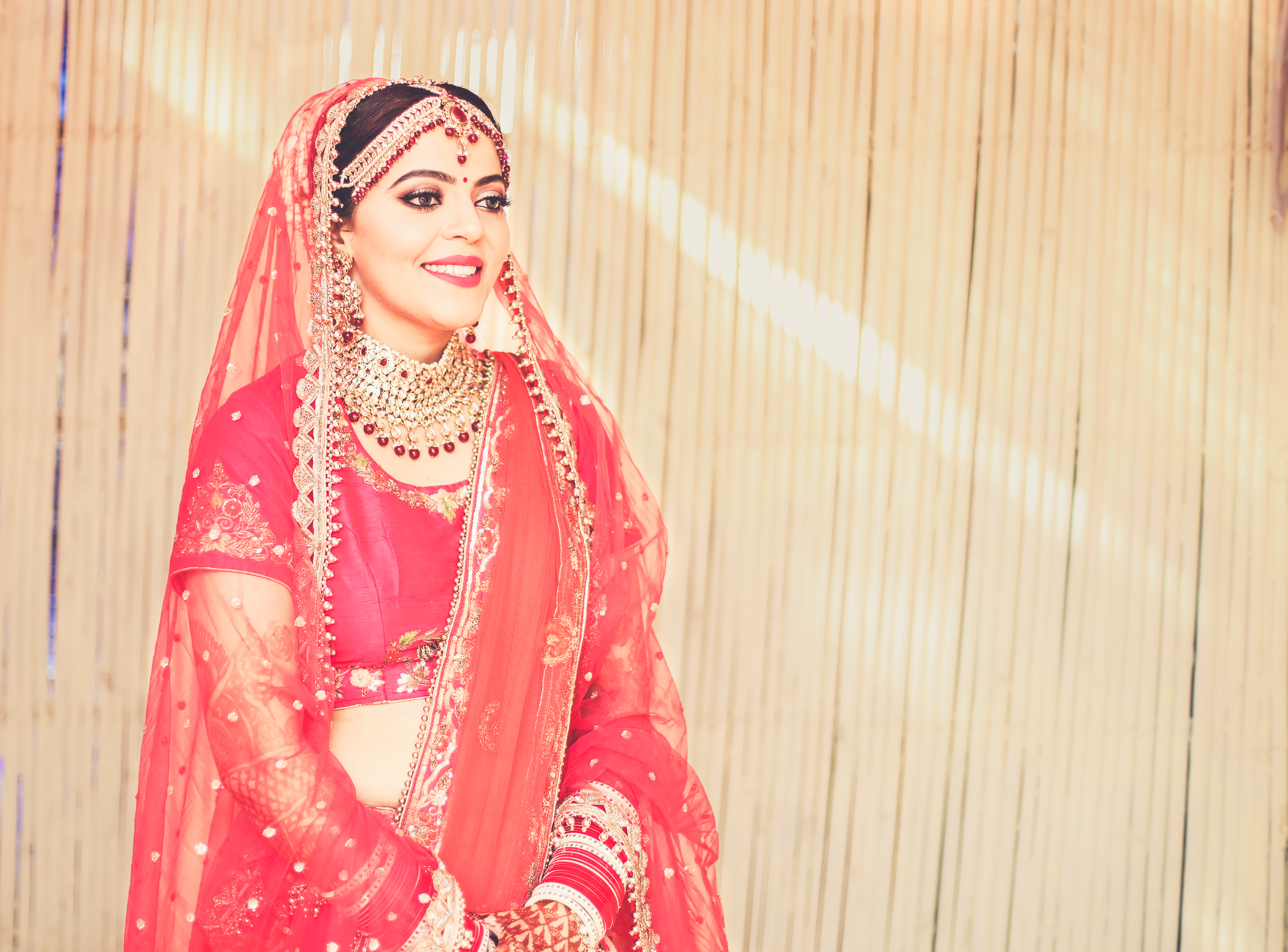 eye of Turtle | | | Portfolio | Photographer