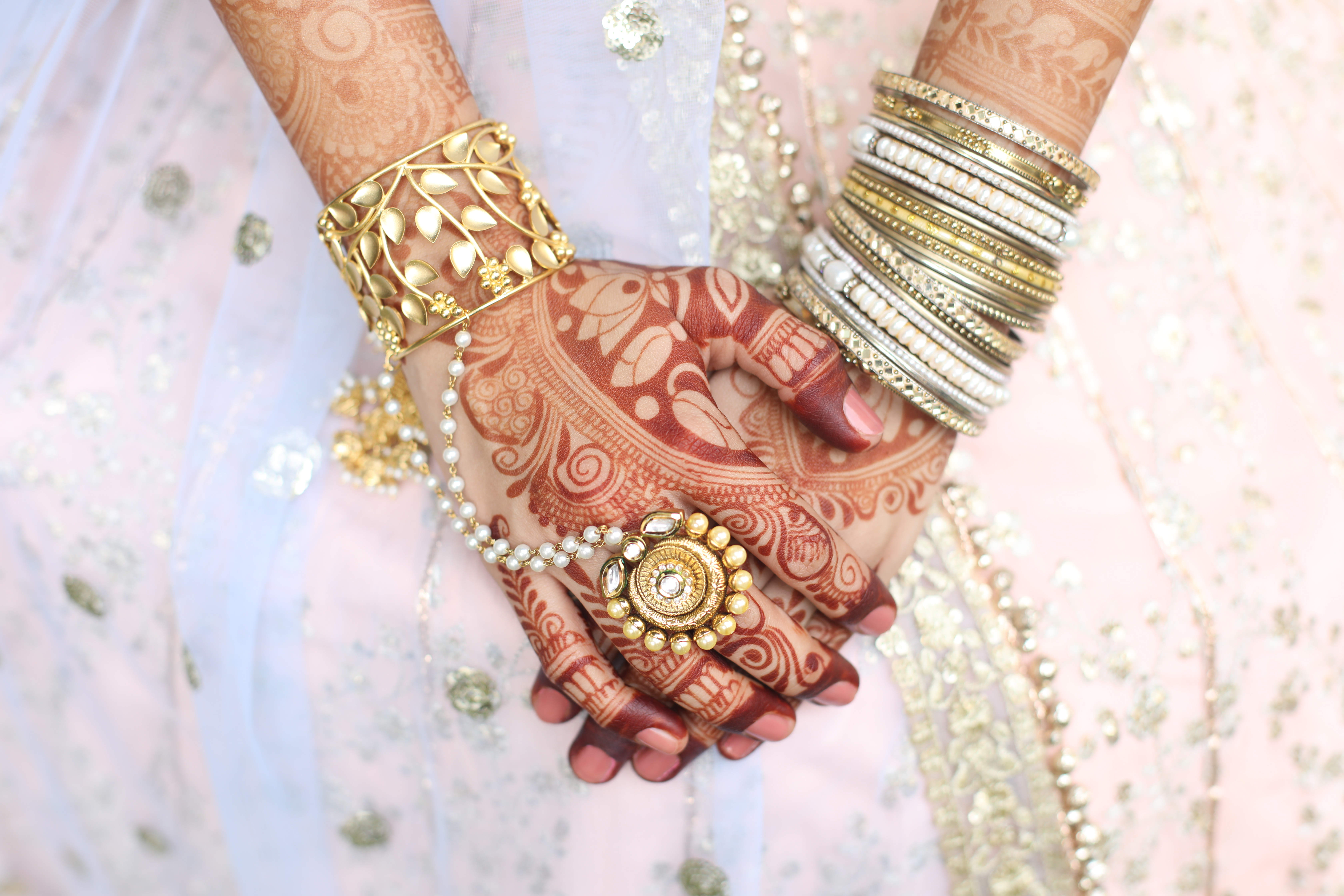 eye of Turtle | | | Portfolio | Photographer