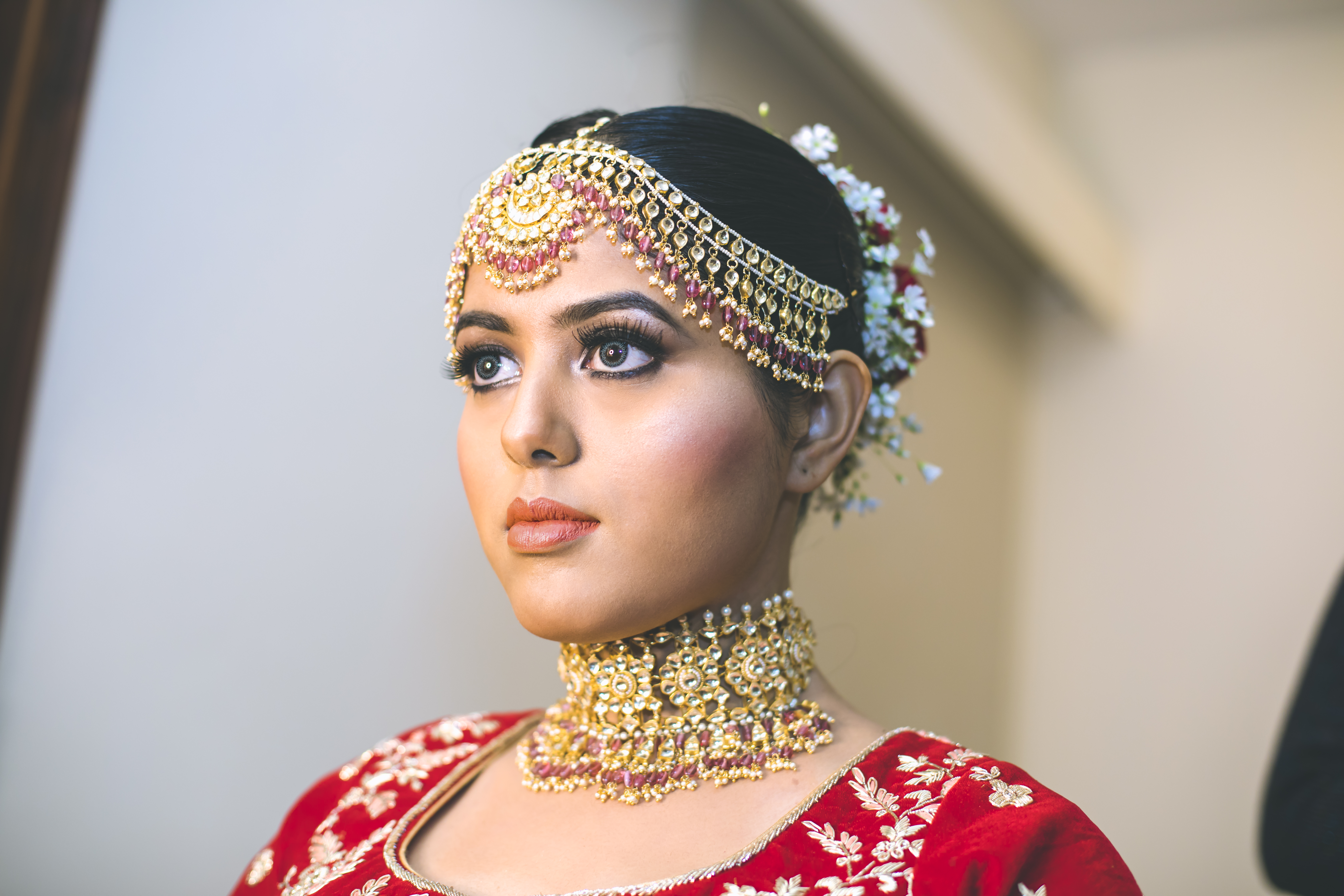 eye of Turtle | | | Portfolio | Photographer