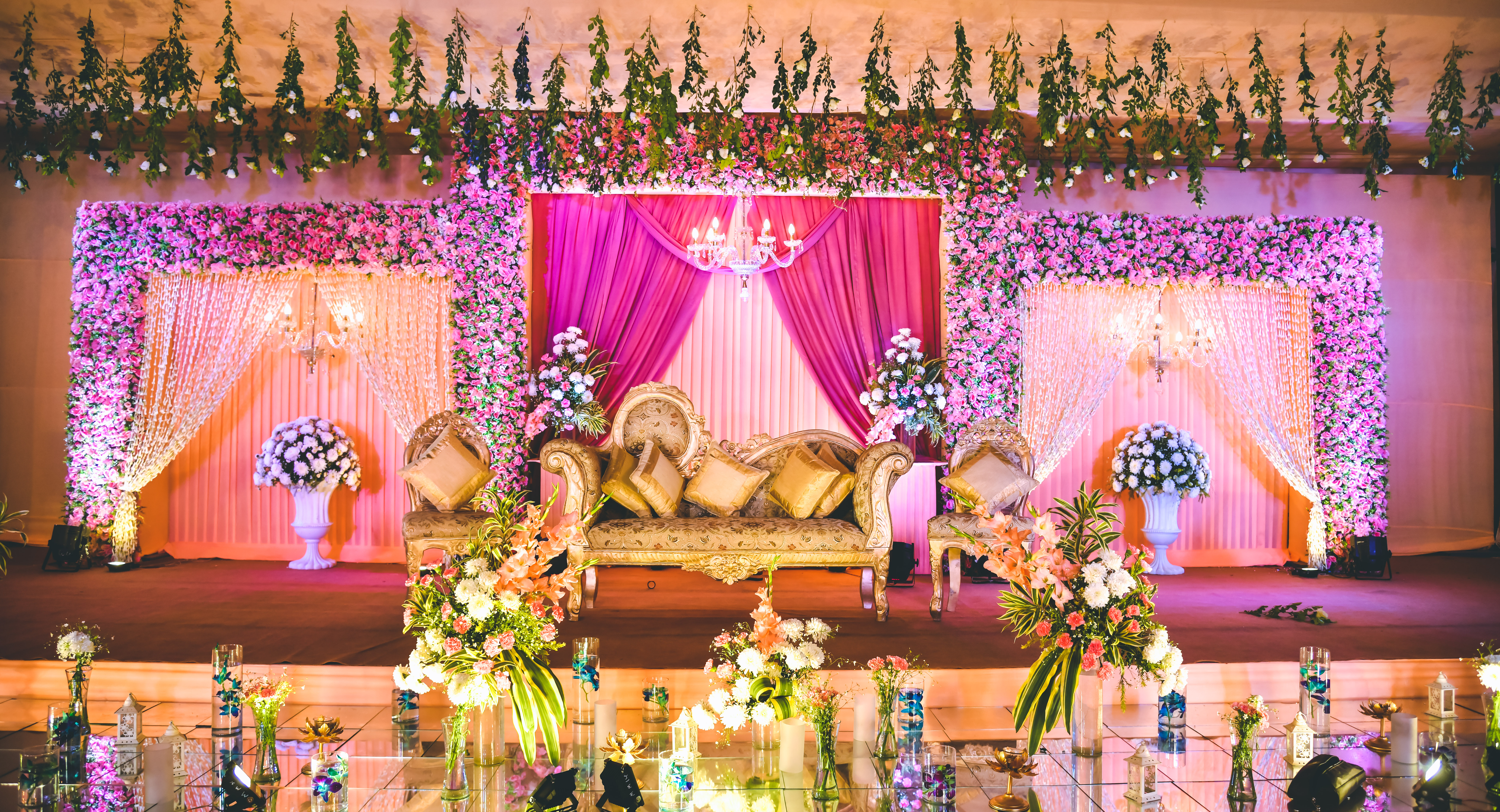 eye of Turtle | | | Shalgha & Puneet | Photographer