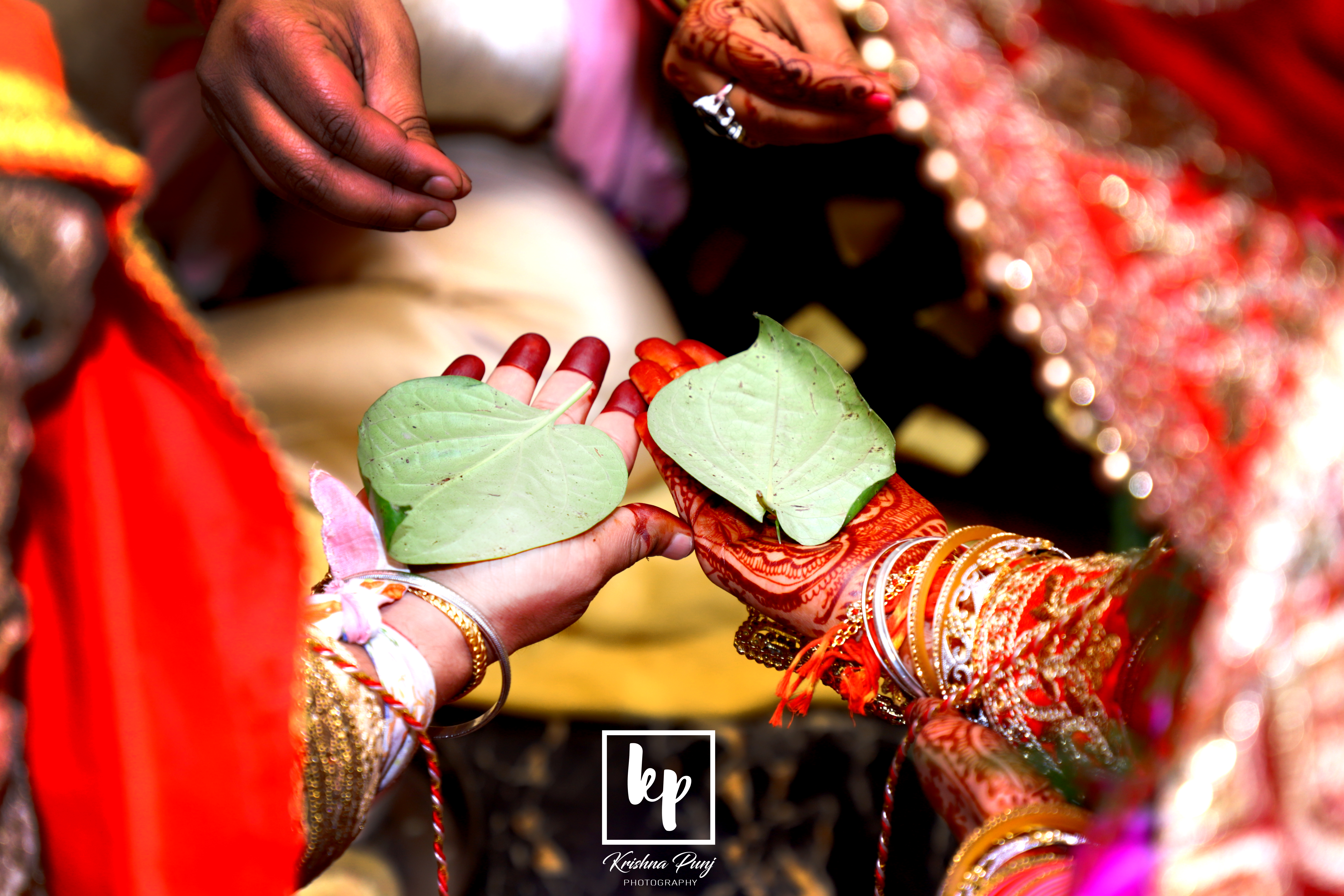 Krishna Punj Photography |  |  | Wedding photos | Photographer