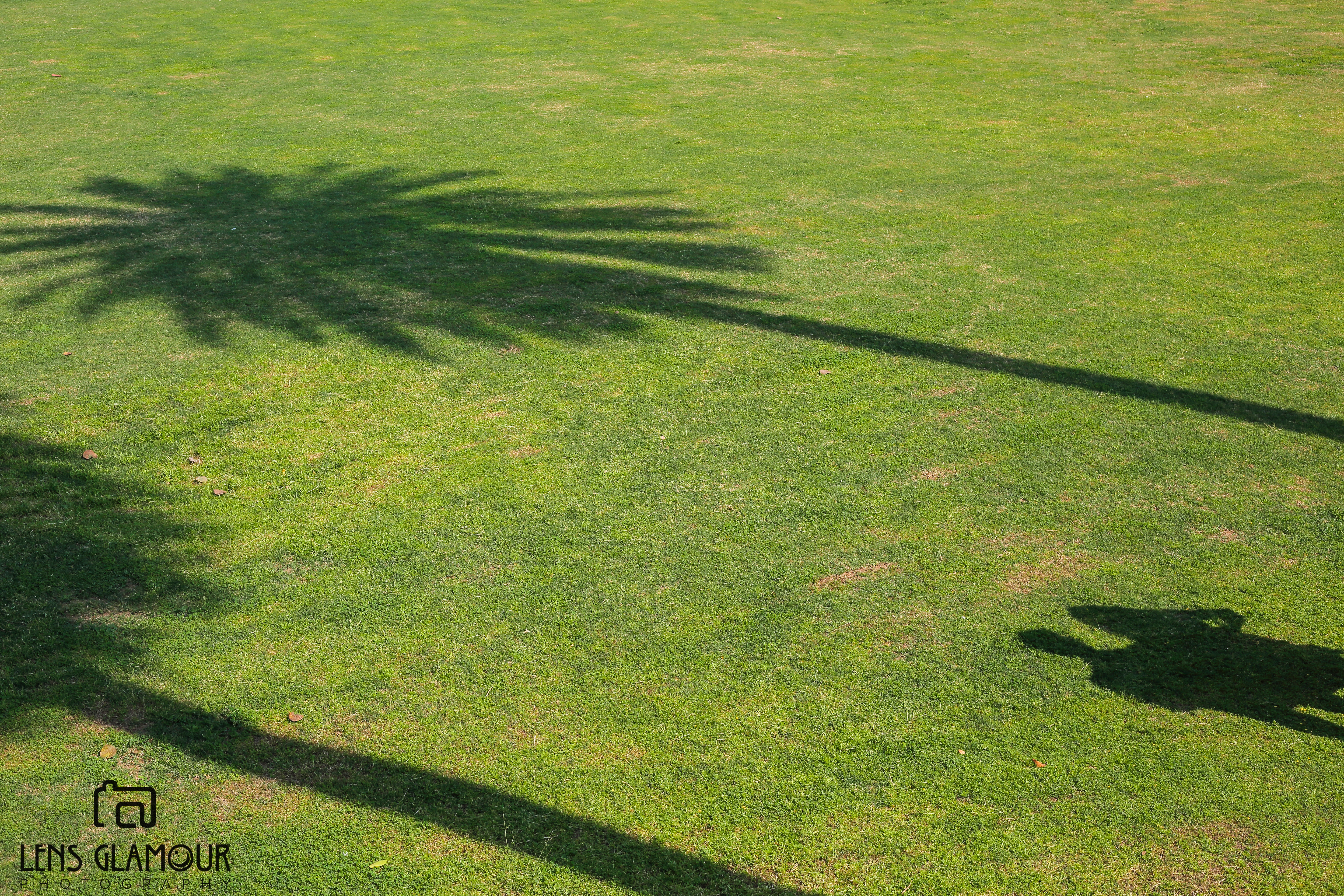 Lens Glamour |  |  | Manisha & Atil  | Photographer