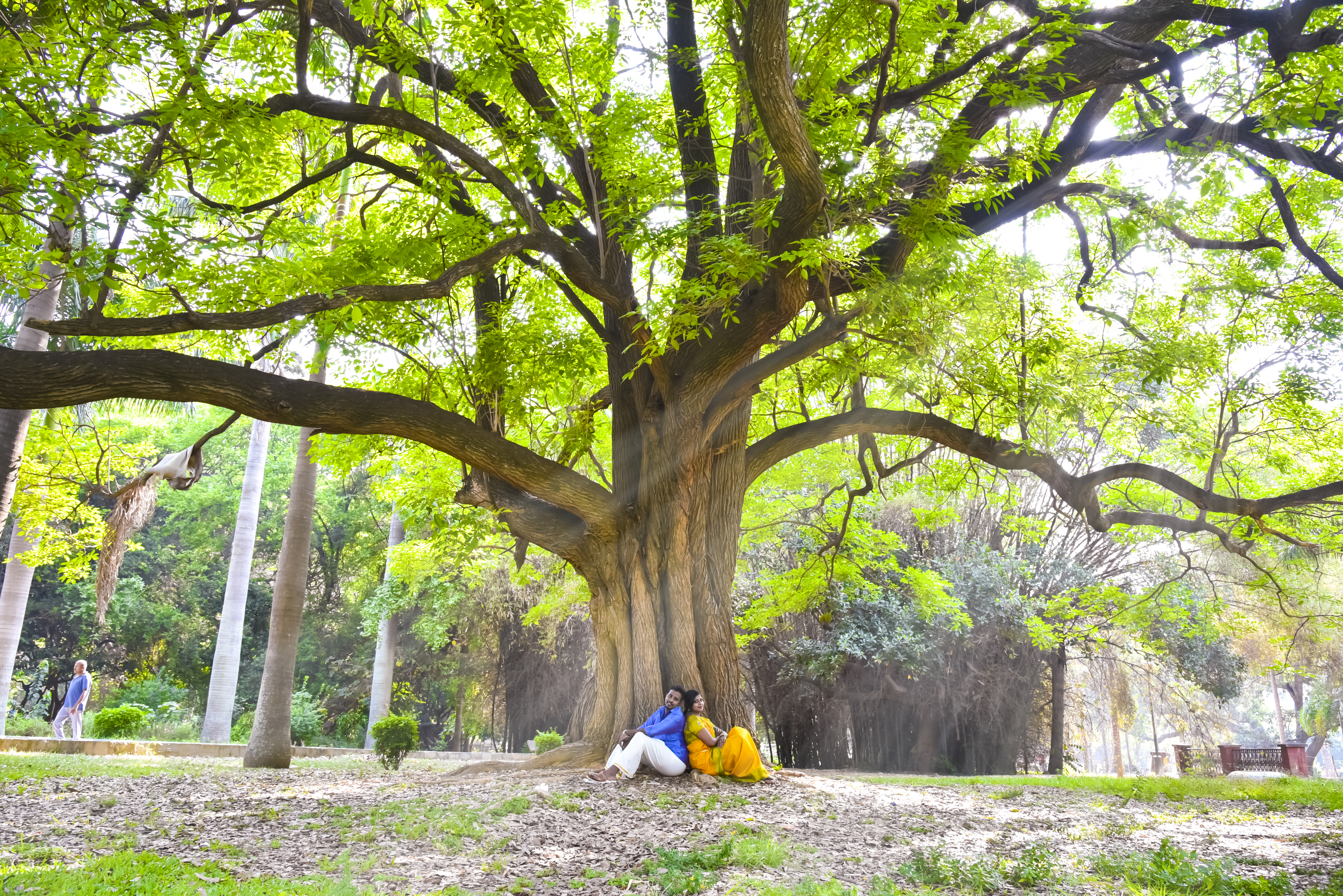 Memories In Media |  |  | Pre Wedding Photography | Photographer