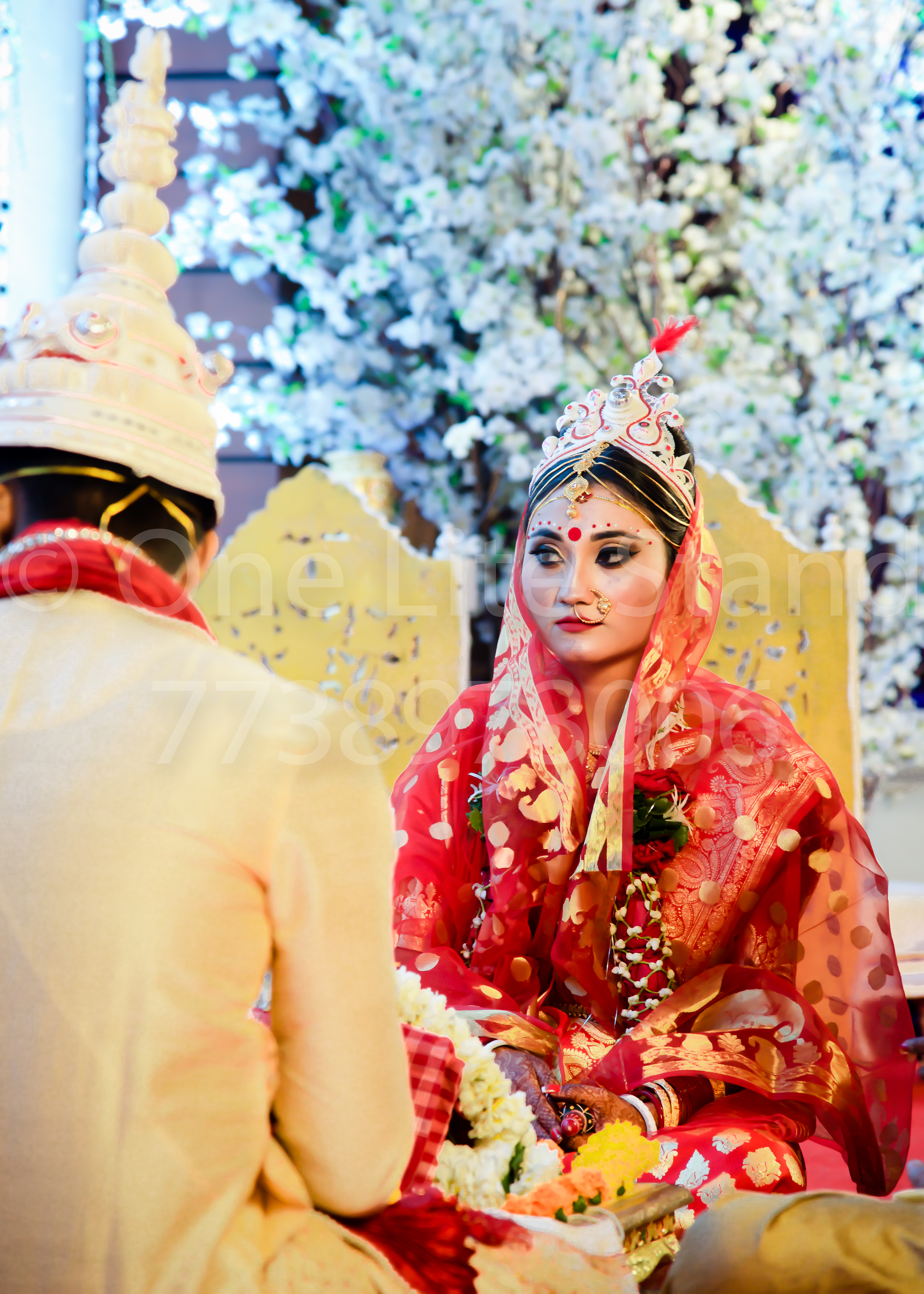 One Lite Stand |  |  | Reportage Wedding | Photographer