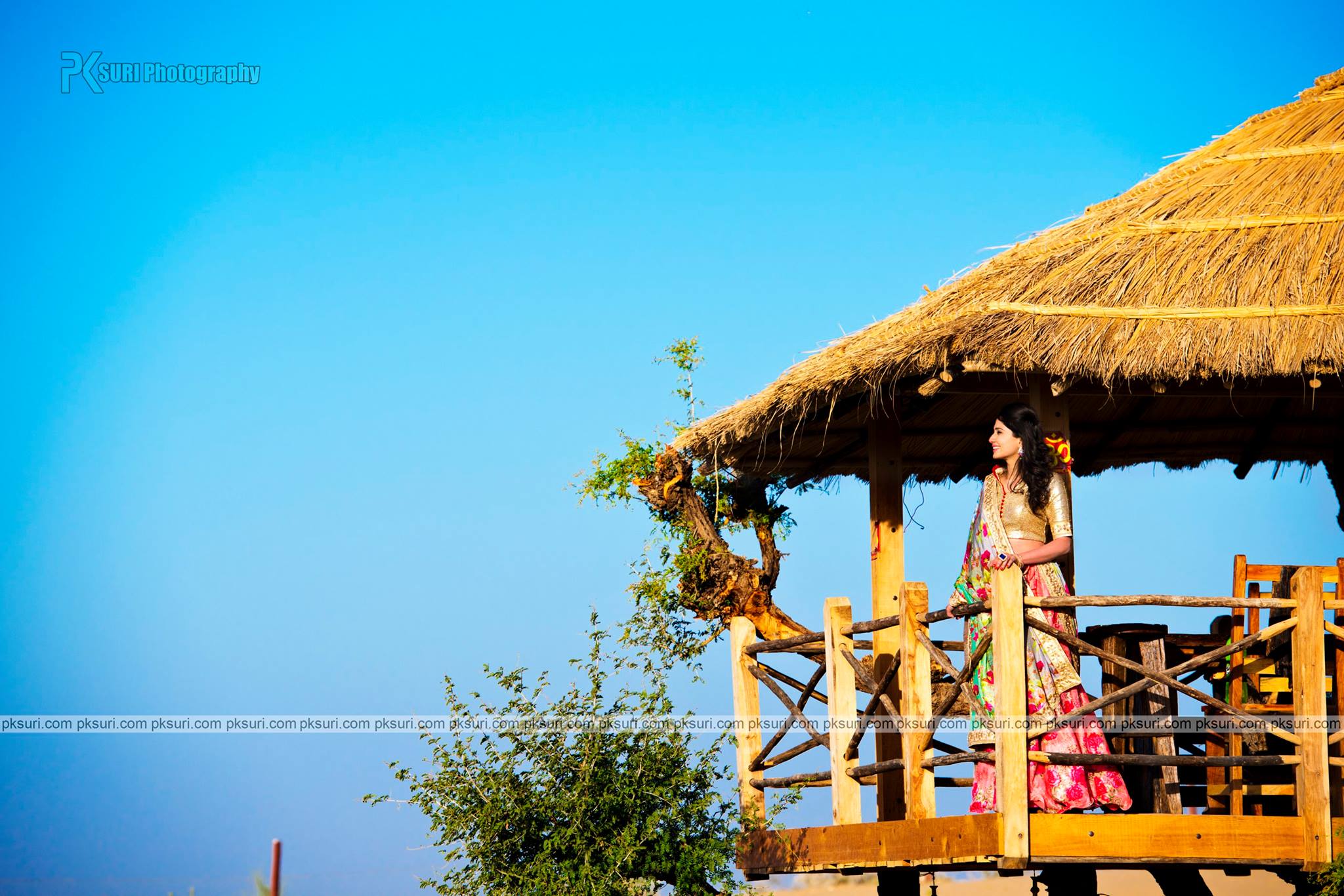 PK Suri Photography |  | PK Suri Photography-album | Photographer