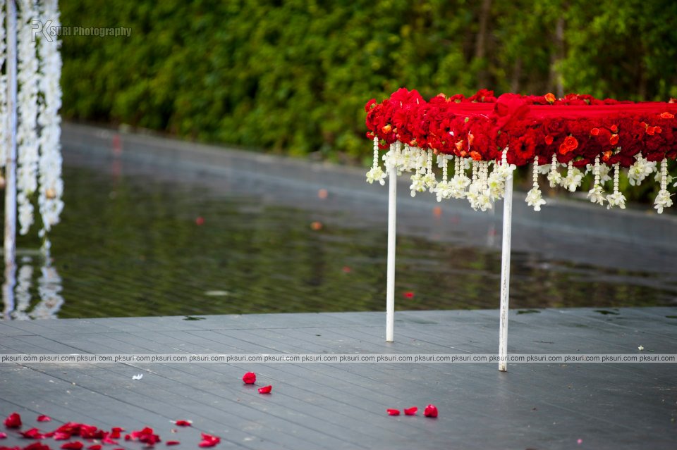 PK Suri Photography |  | PK Suri Photography-album | Photographer