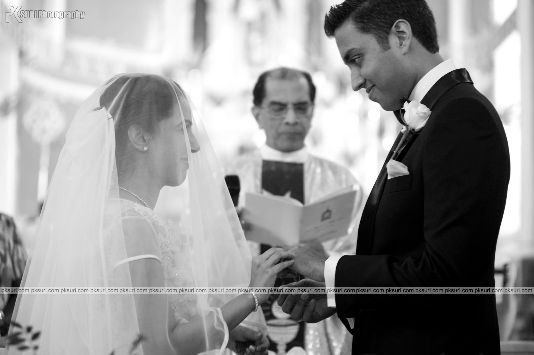 PK Suri Photography |  | PK Suri Photography-album | Photographer