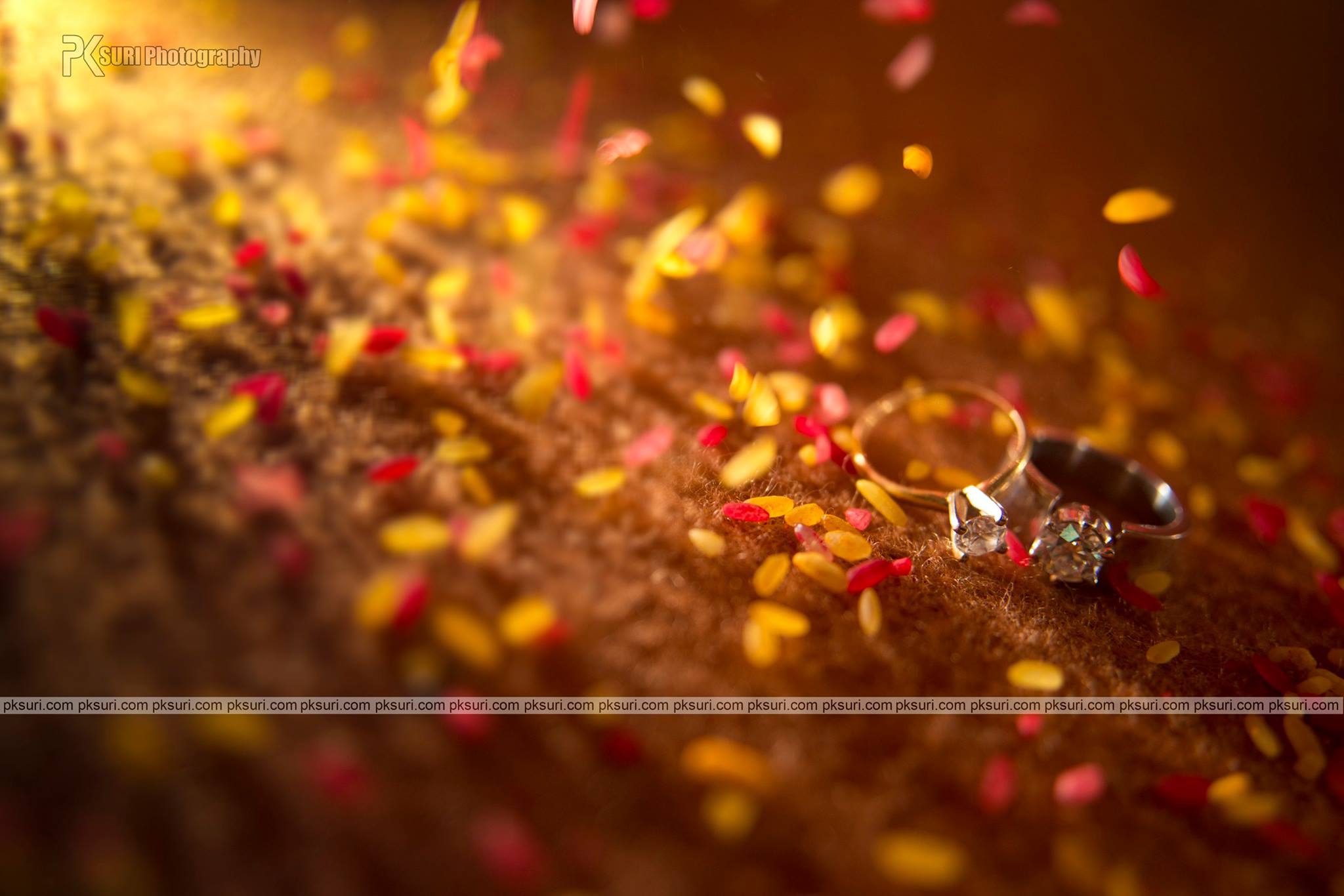 PK Suri Photography |  | PK Suri Photography-album | Photographer