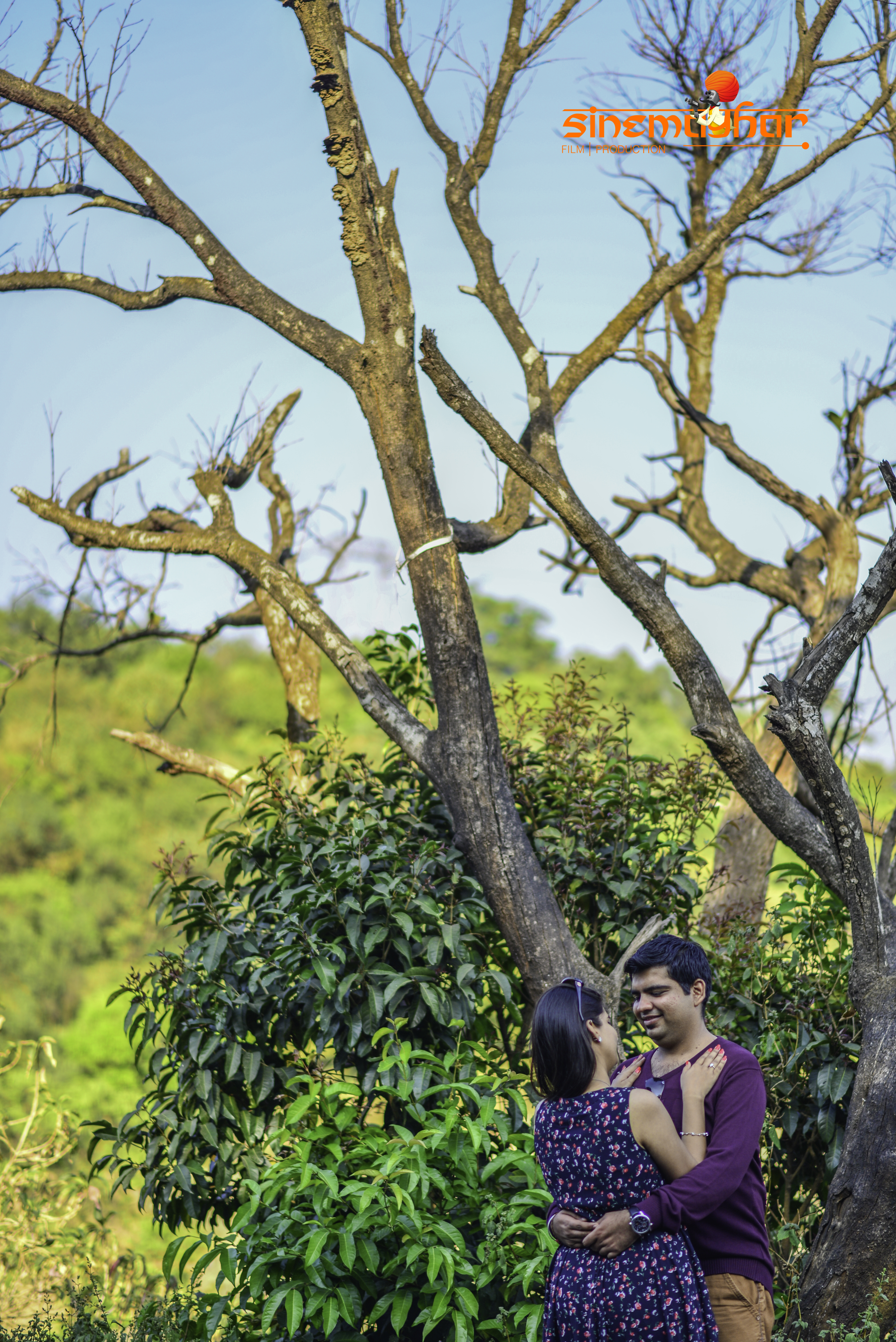 Sinemaghar |  | D X S | Photographer