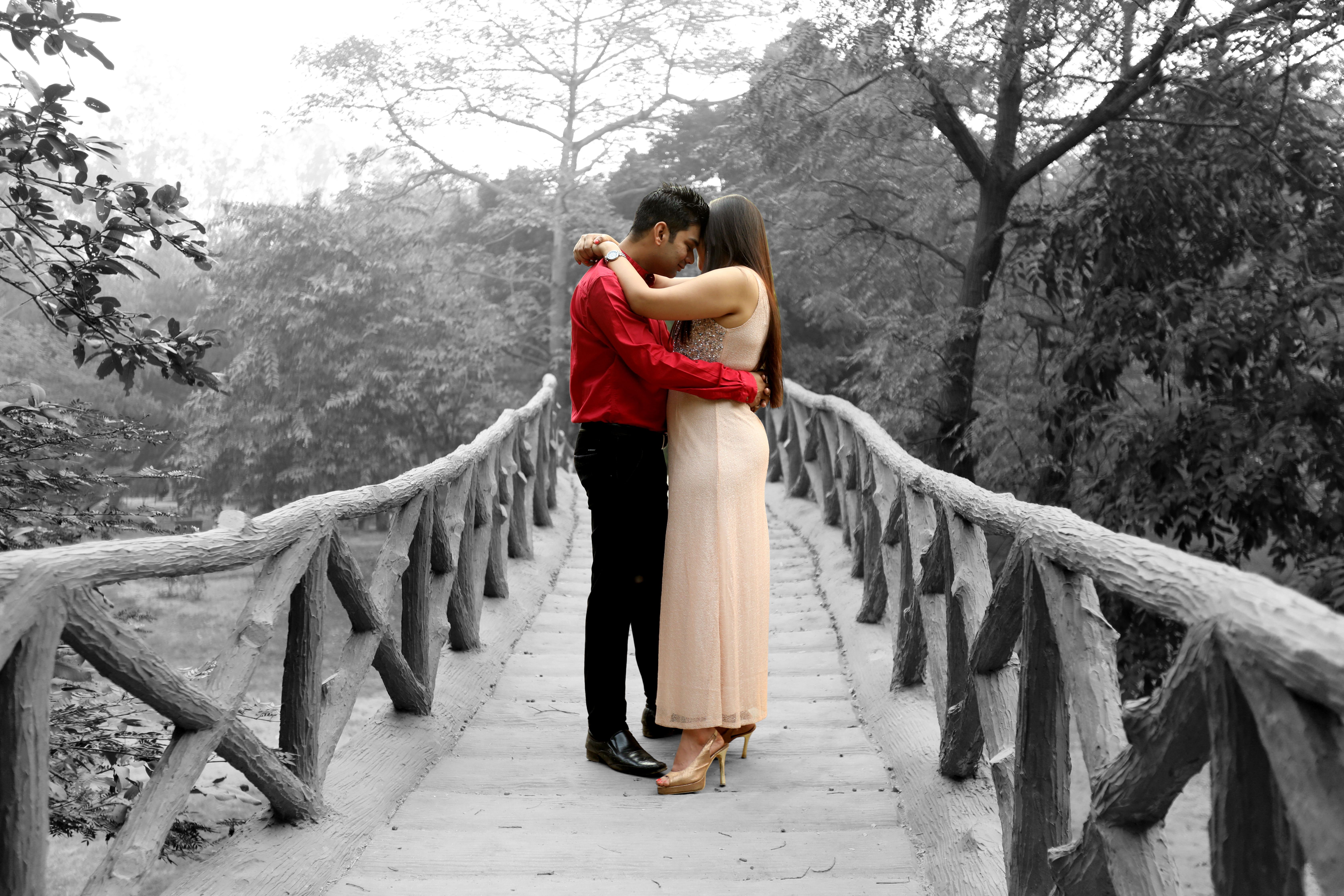 SM Photography |  |  | Wedding | Photographer