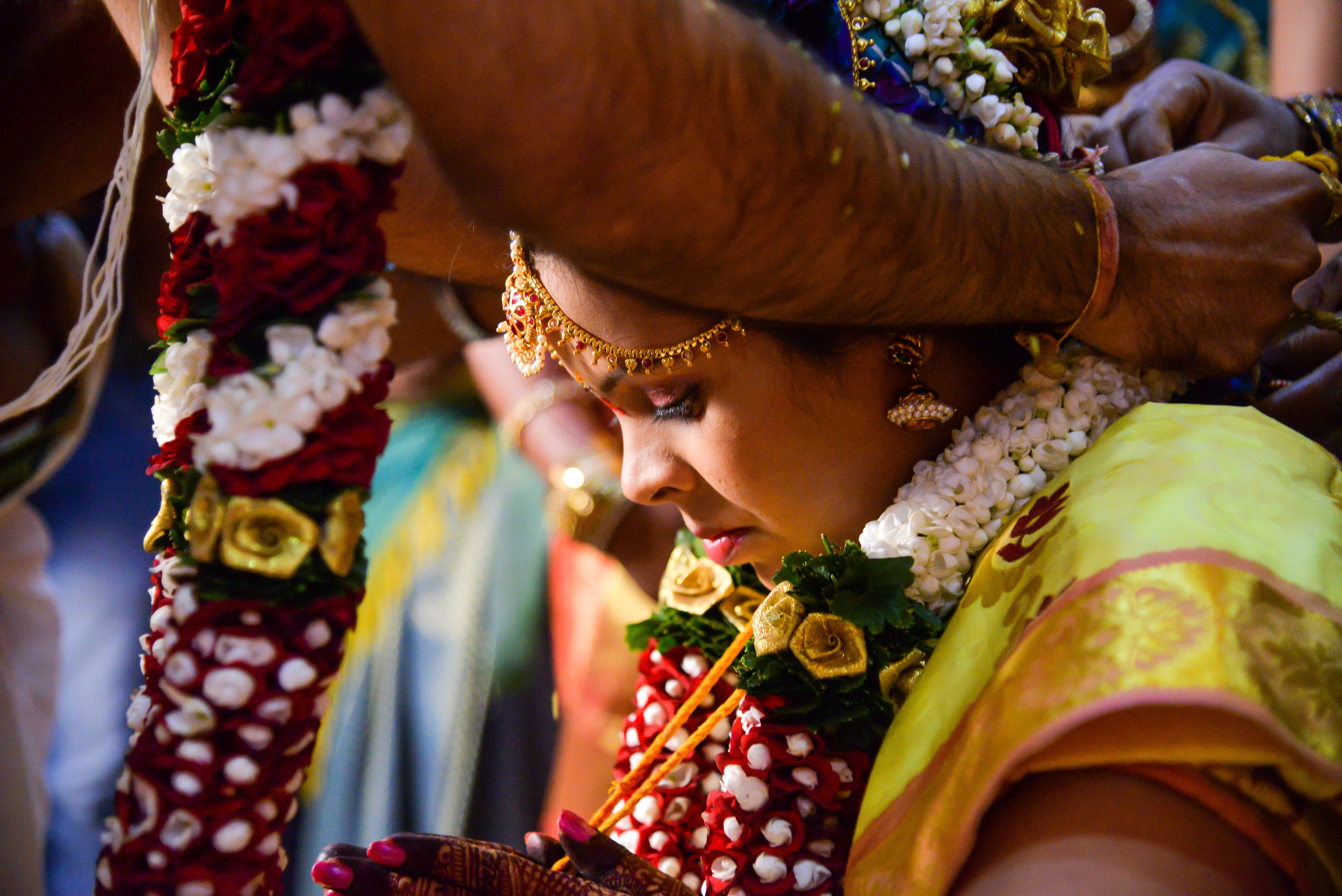 Small Studios | | | profile | Photographer