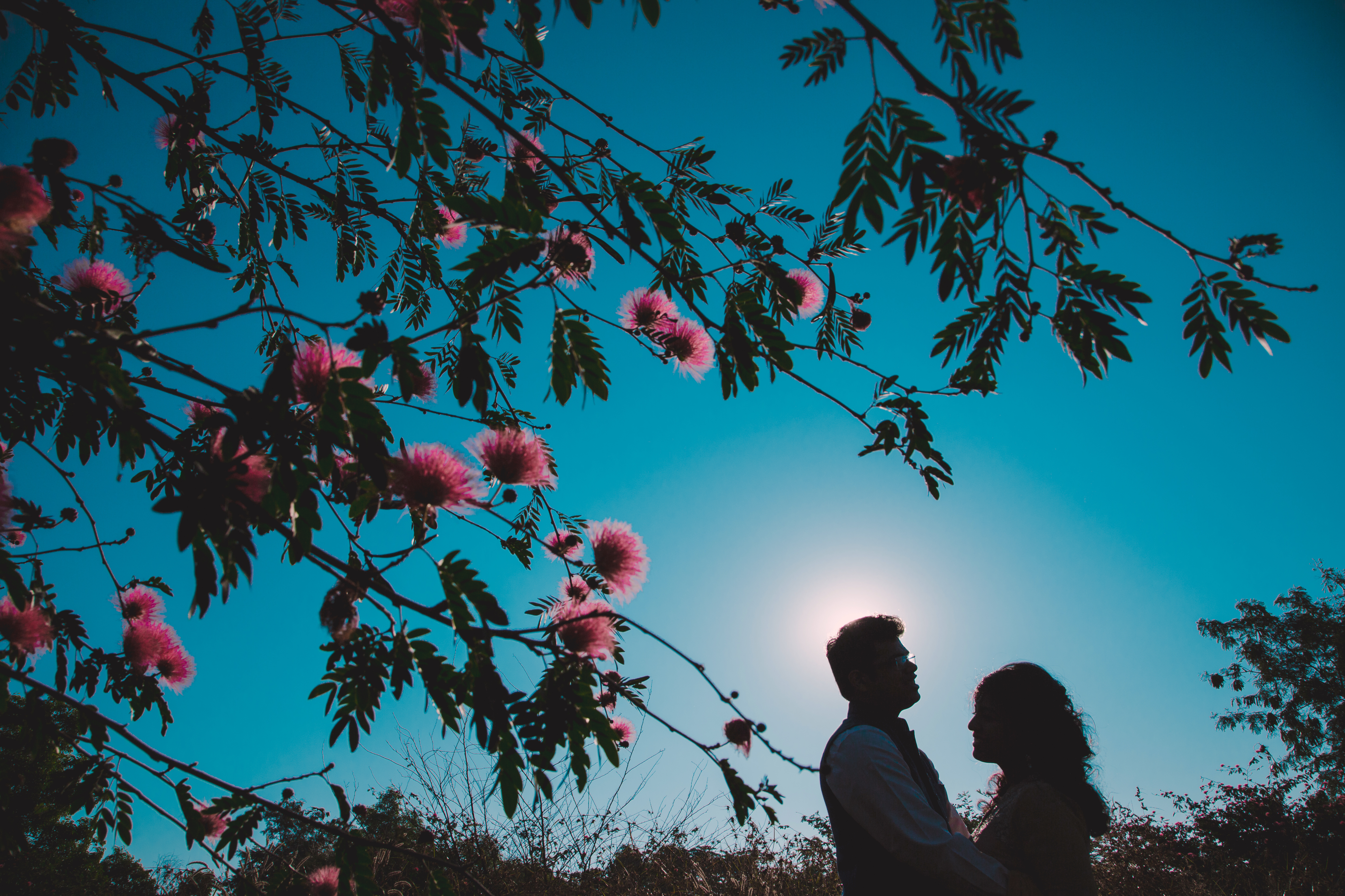 The Dream Diary |  |  | Two heart full of love. | Photographer