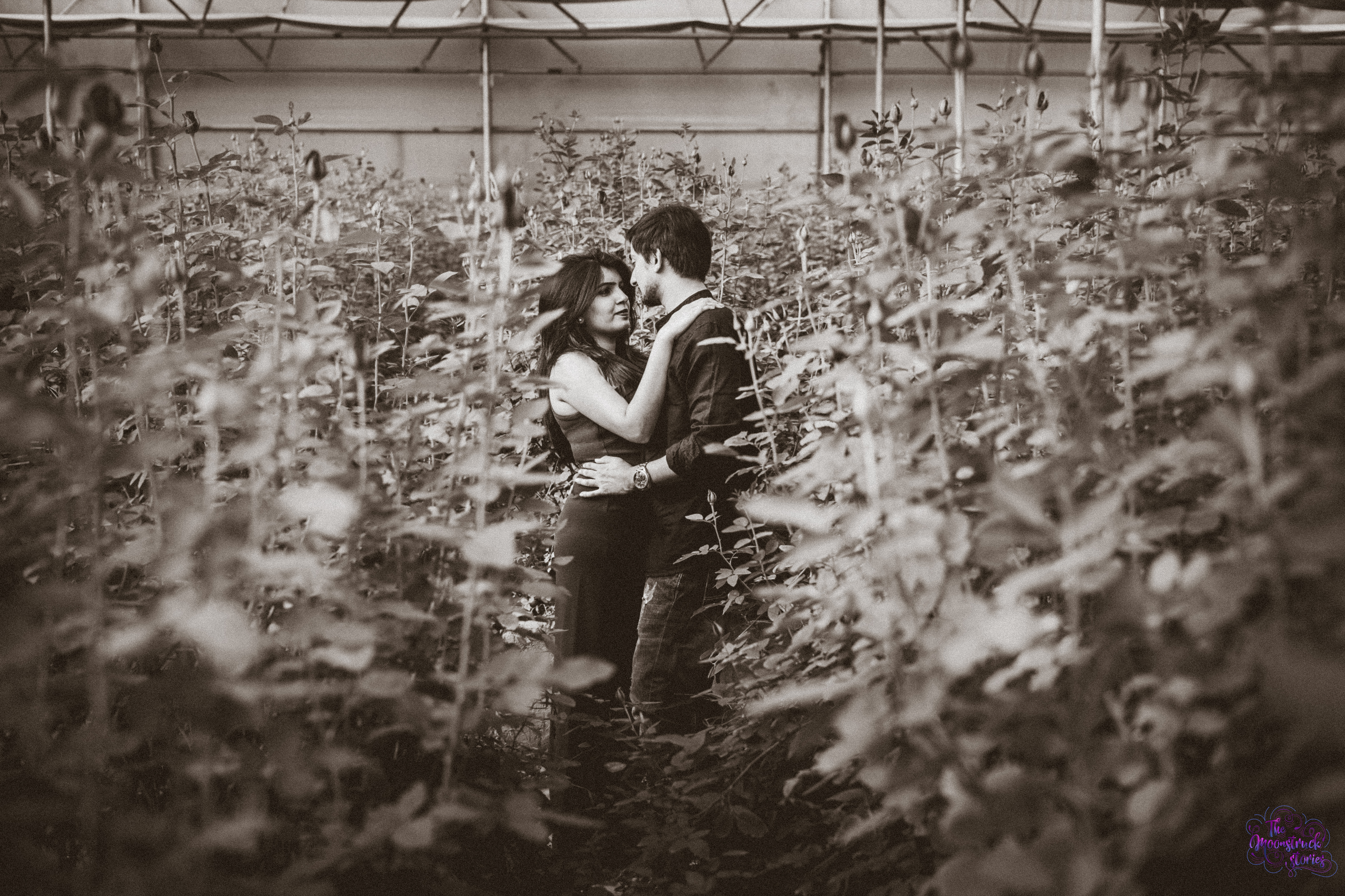 The Moonstruck Stories | | | Pre Wedding Photography | Photographer