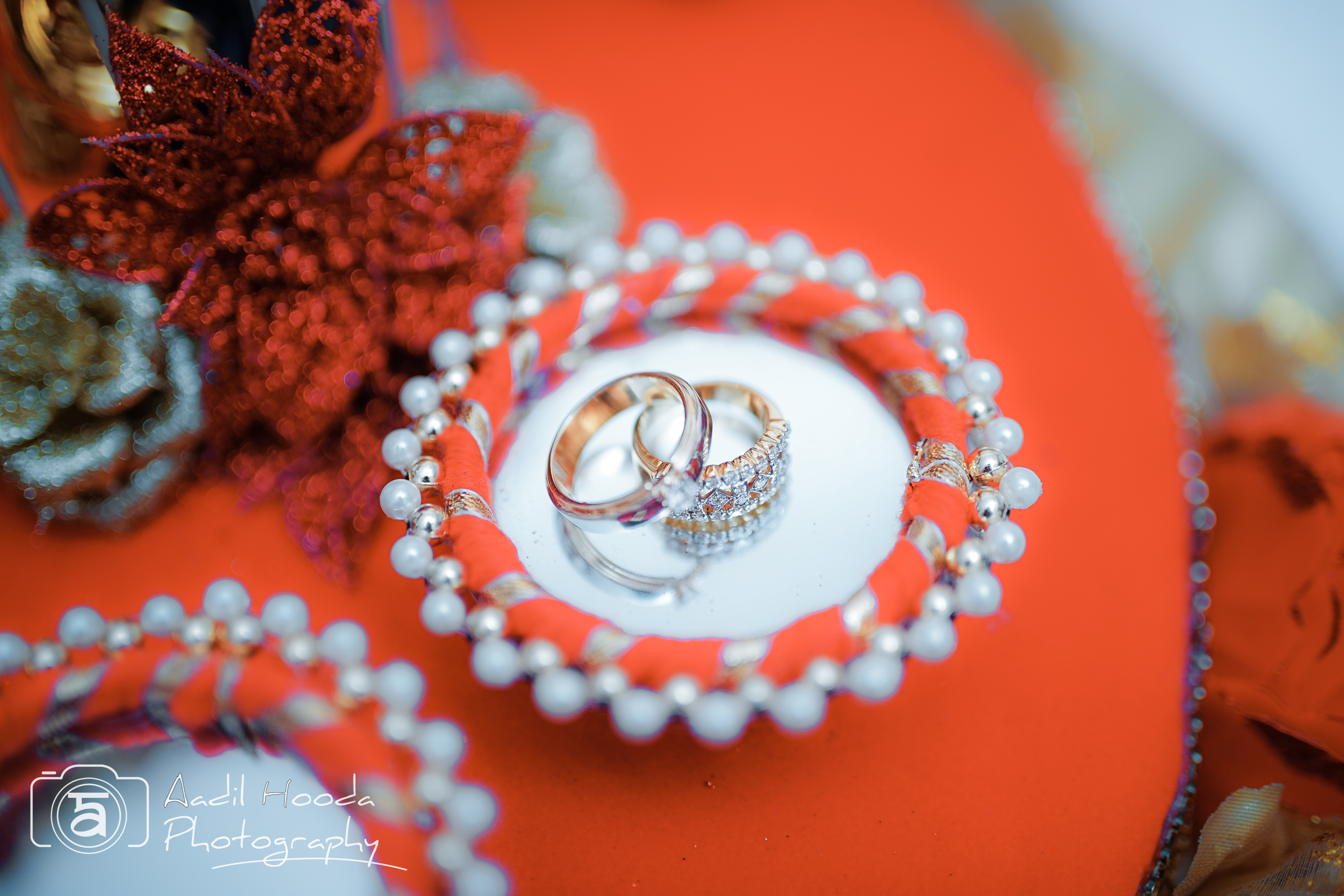 The Perfect Picture | | | Portfolio | Photographer