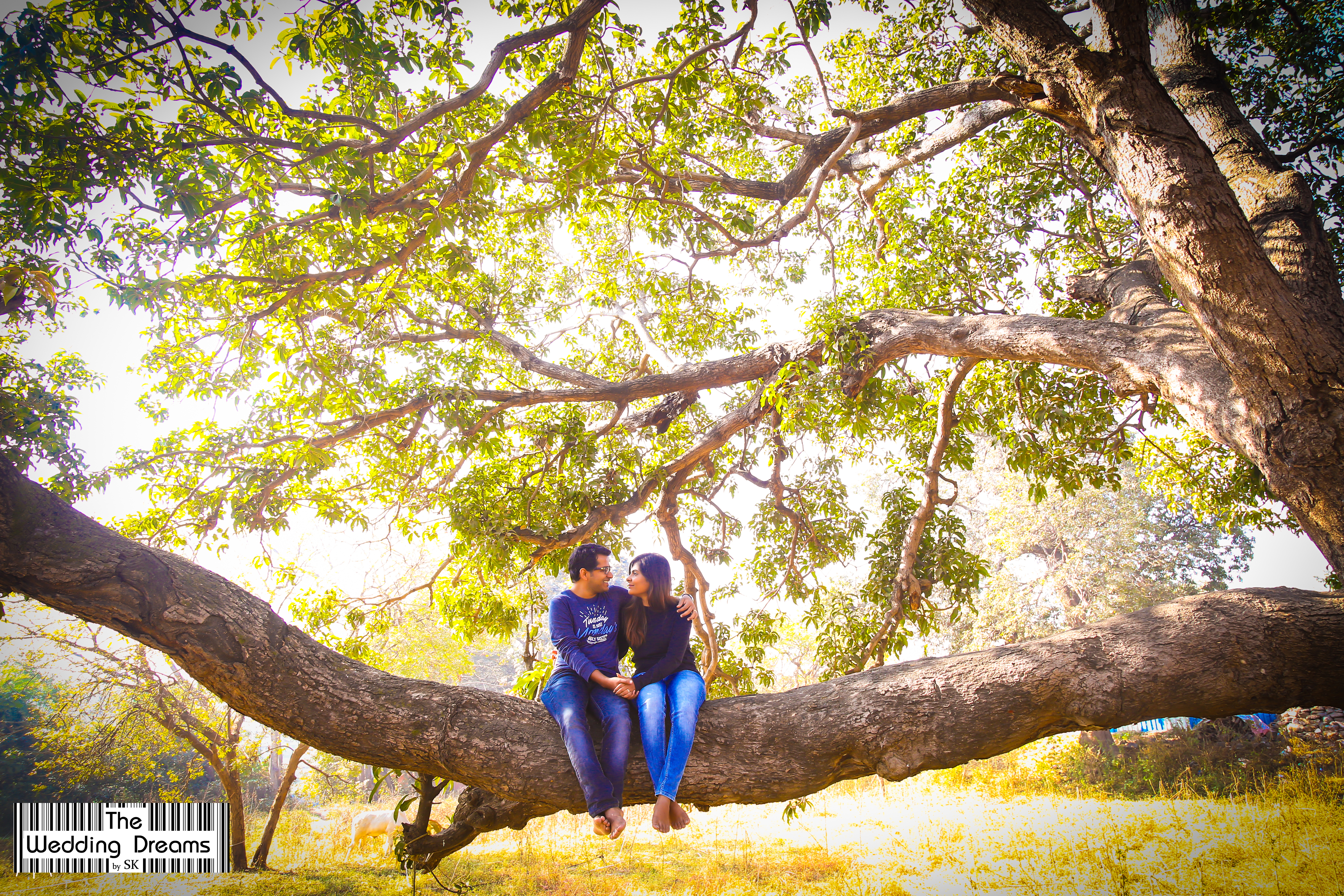 The Wedding Dreams  |  |  | SNEHA + BADAL | Photographer