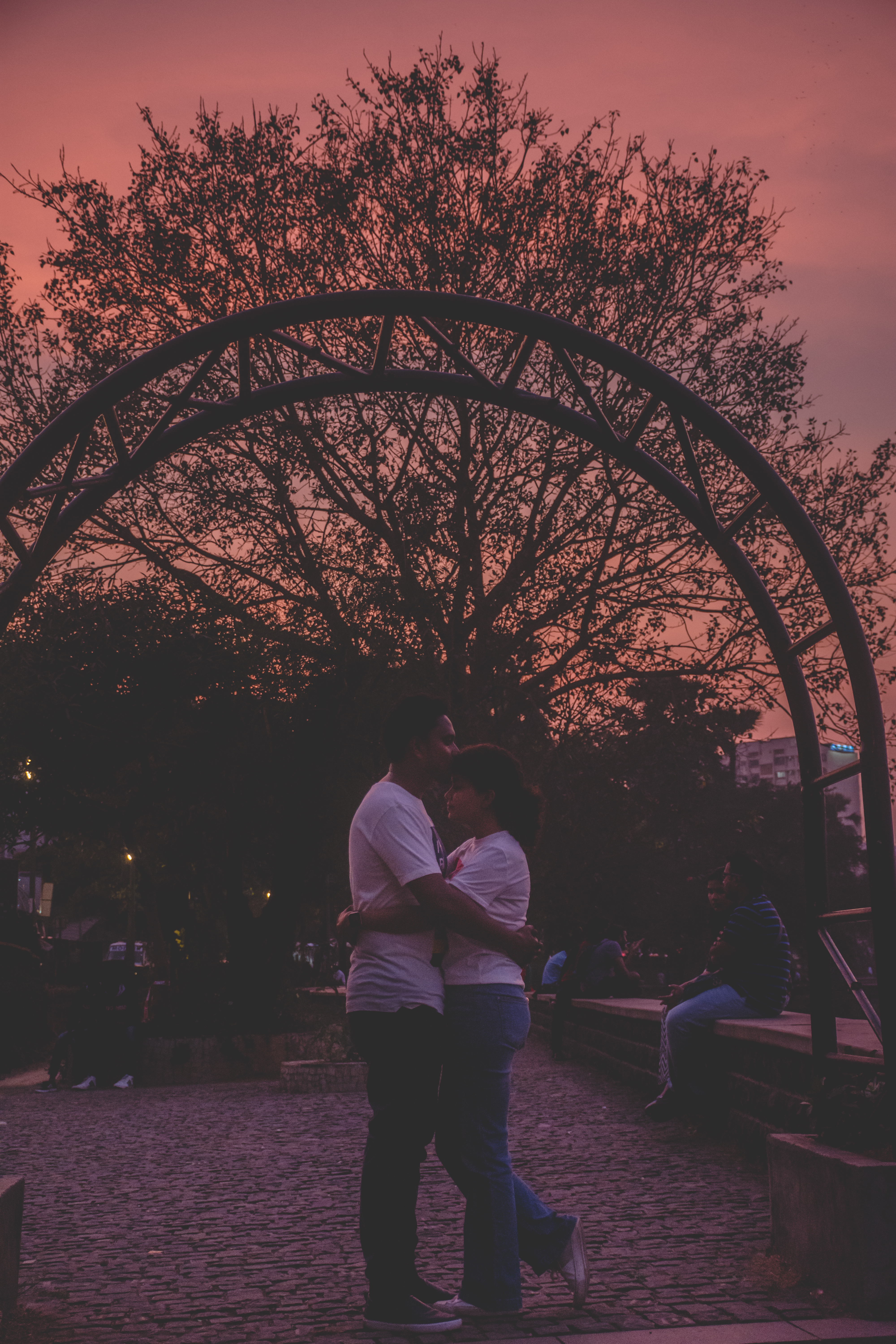 Weddingz.in Photo Crew |  | Wedding | Photographer